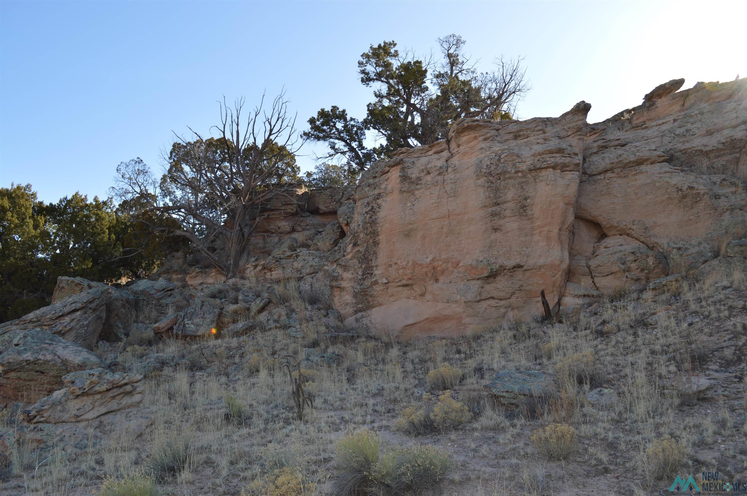 TBD Prewitt Road, Prewitt, New Mexico image 29