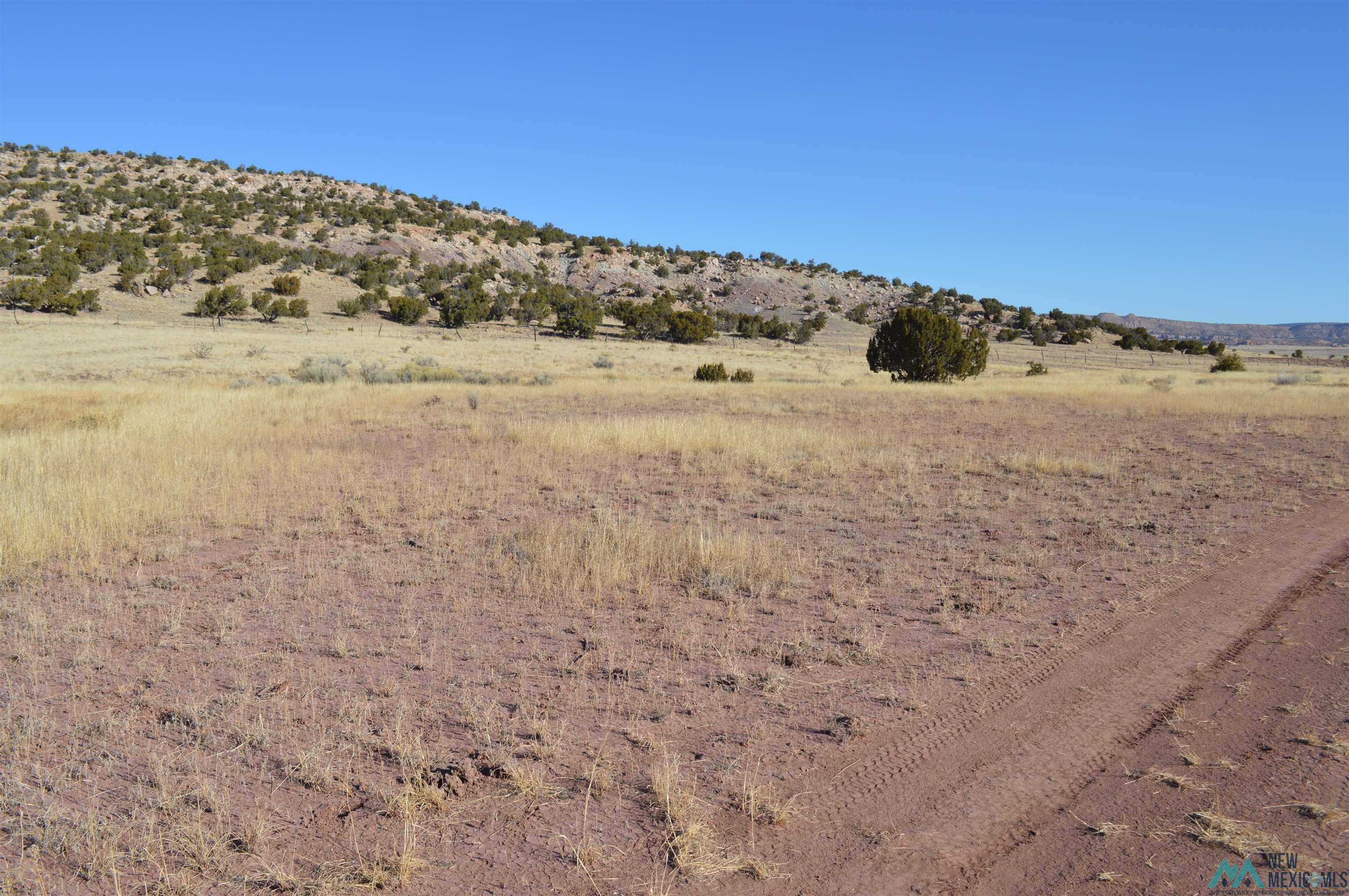 TBD Prewitt Road, Prewitt, New Mexico image 26