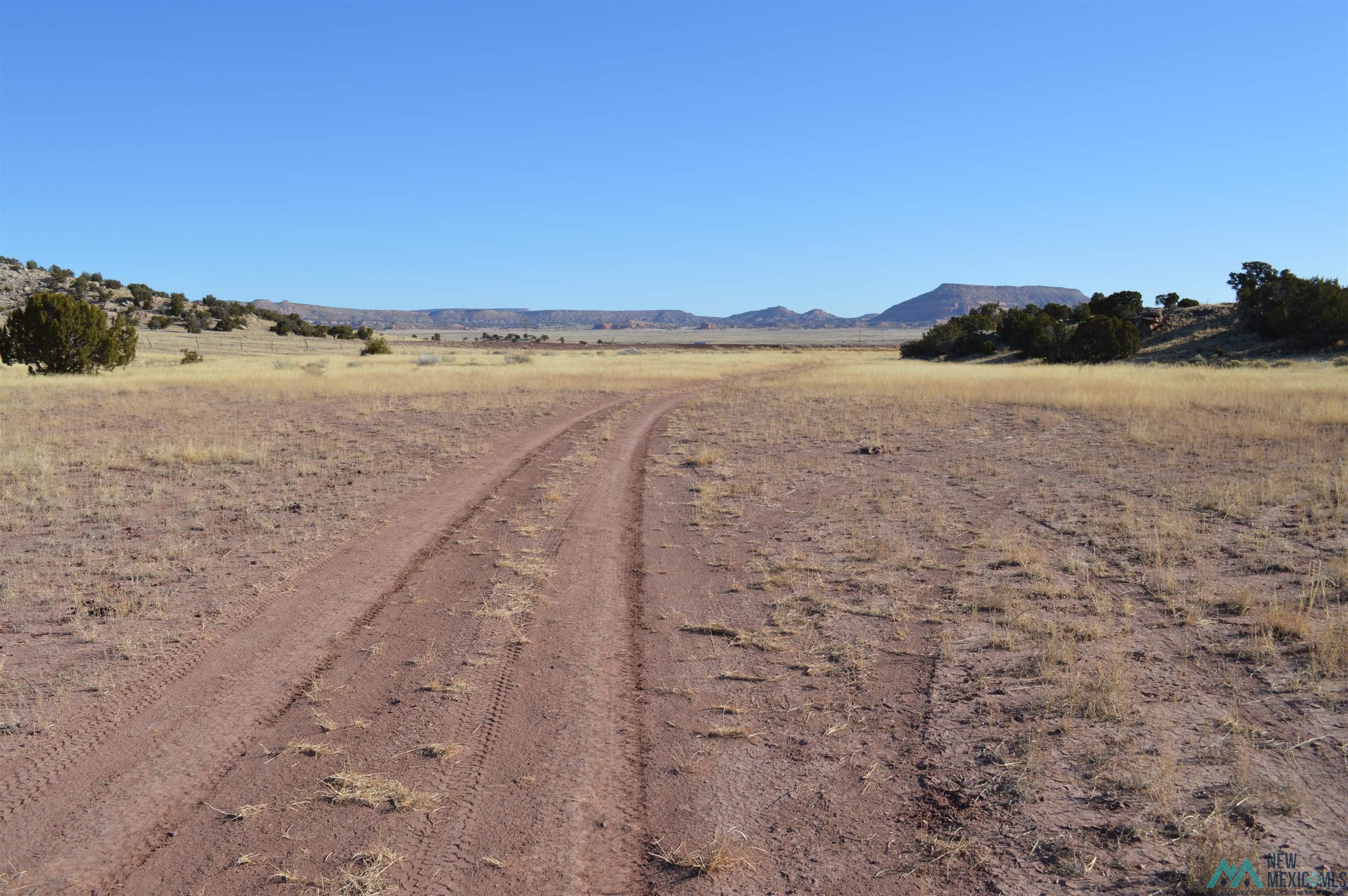 TBD Prewitt Road, Prewitt, New Mexico image 27