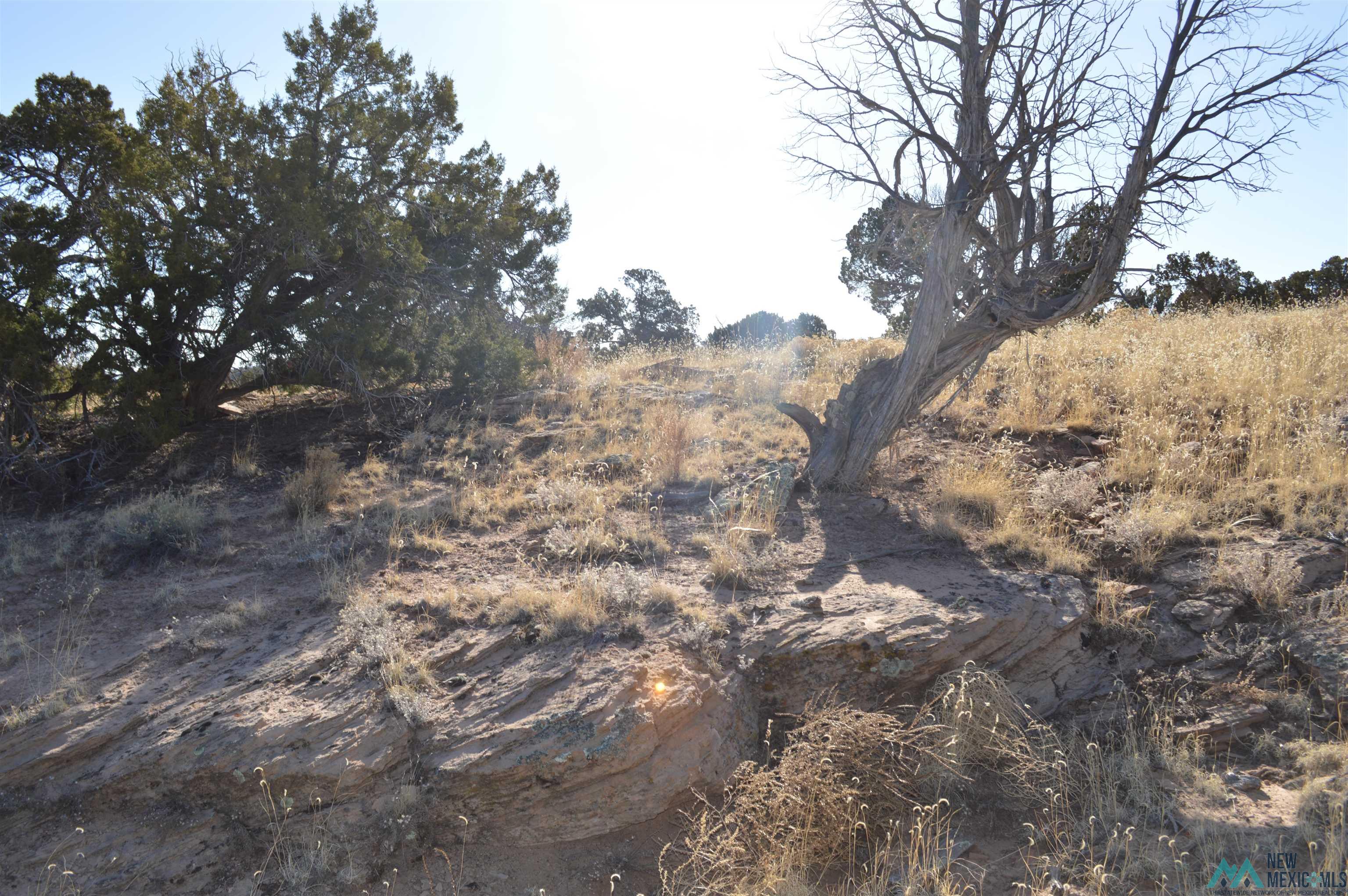 TBD Prewitt Road, Prewitt, New Mexico image 34