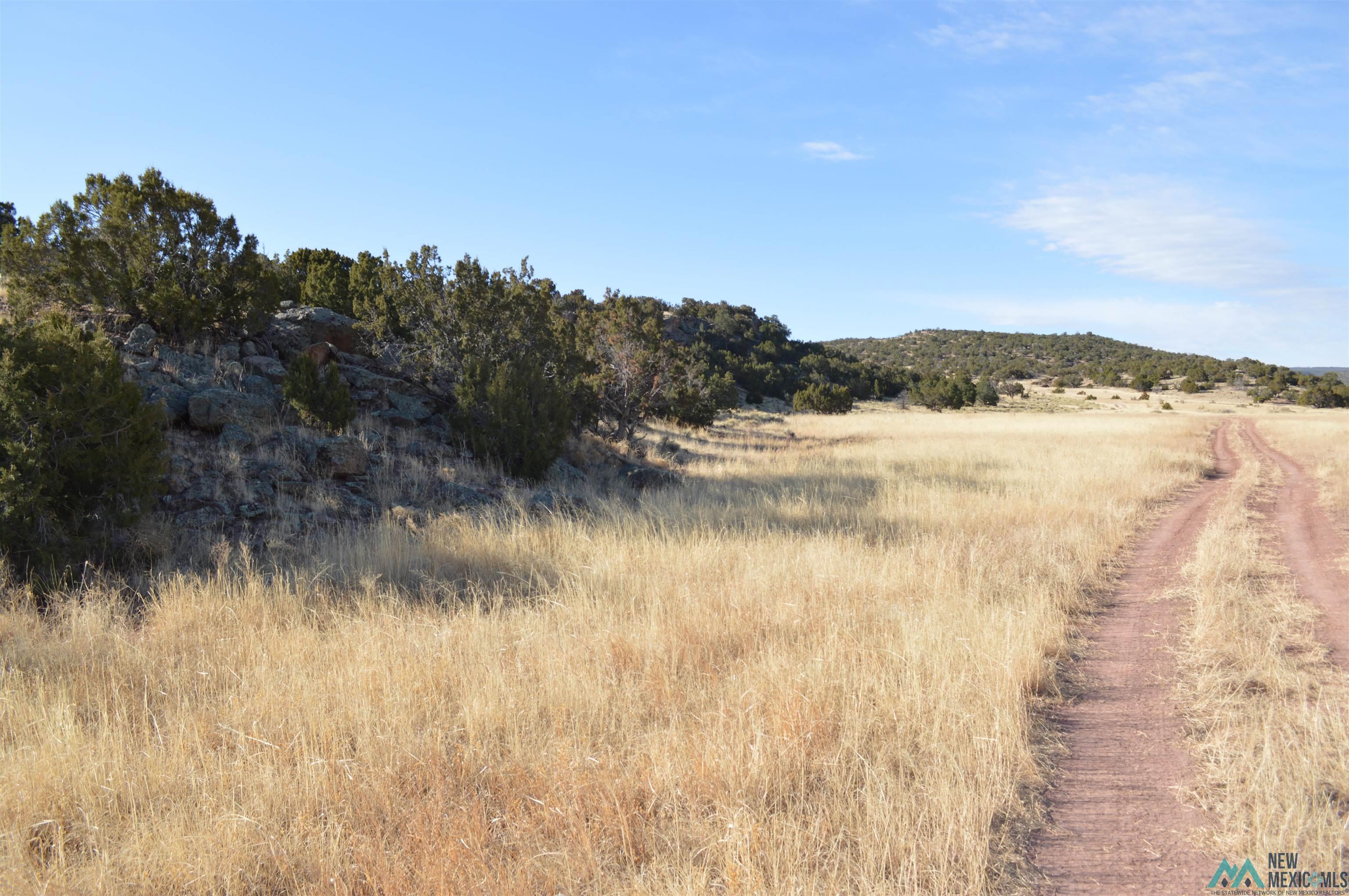 TBD Prewitt Road, Prewitt, New Mexico image 14