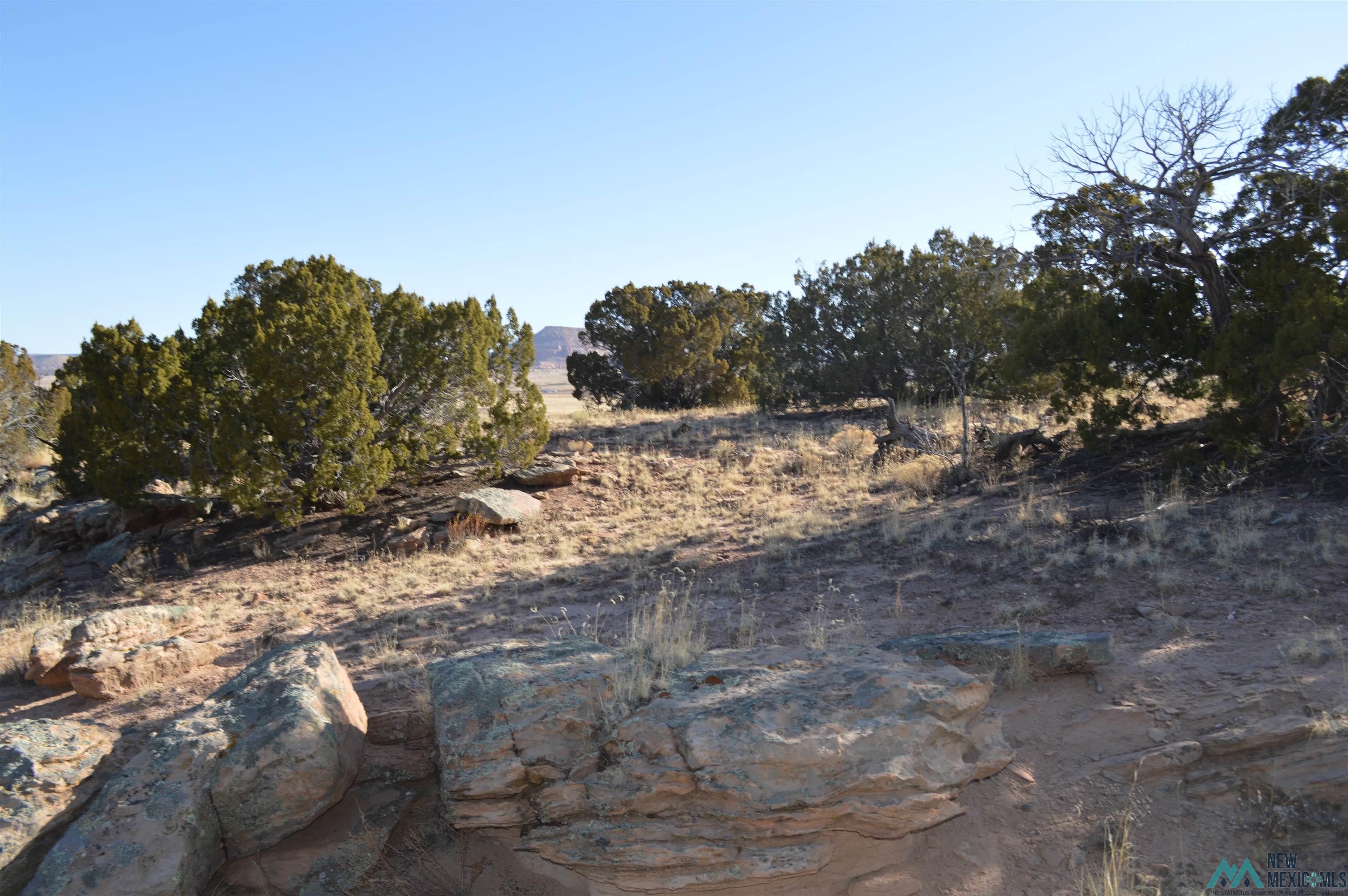 TBD Prewitt Road, Prewitt, New Mexico image 35
