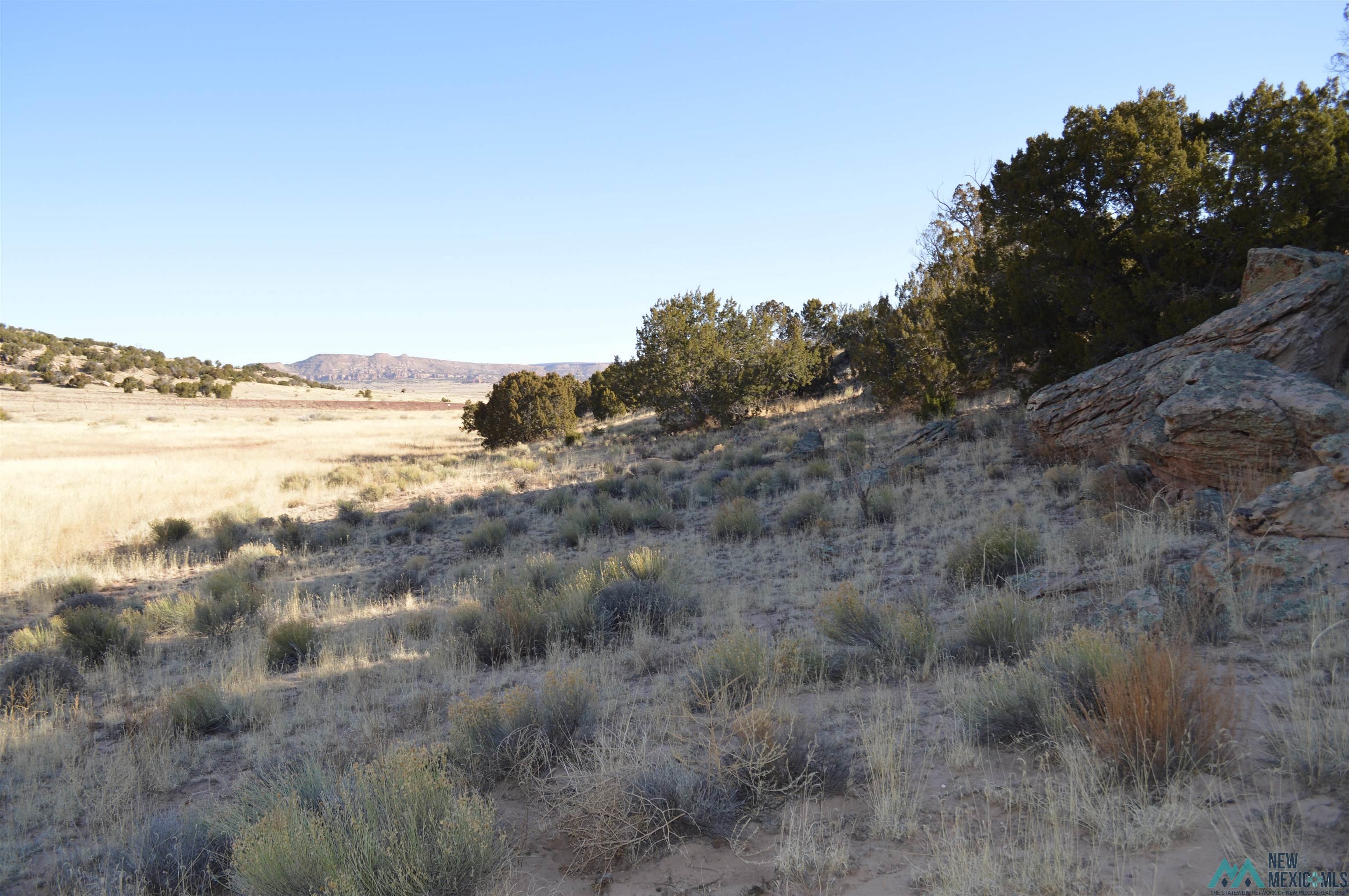TBD Prewitt Road, Prewitt, New Mexico image 30