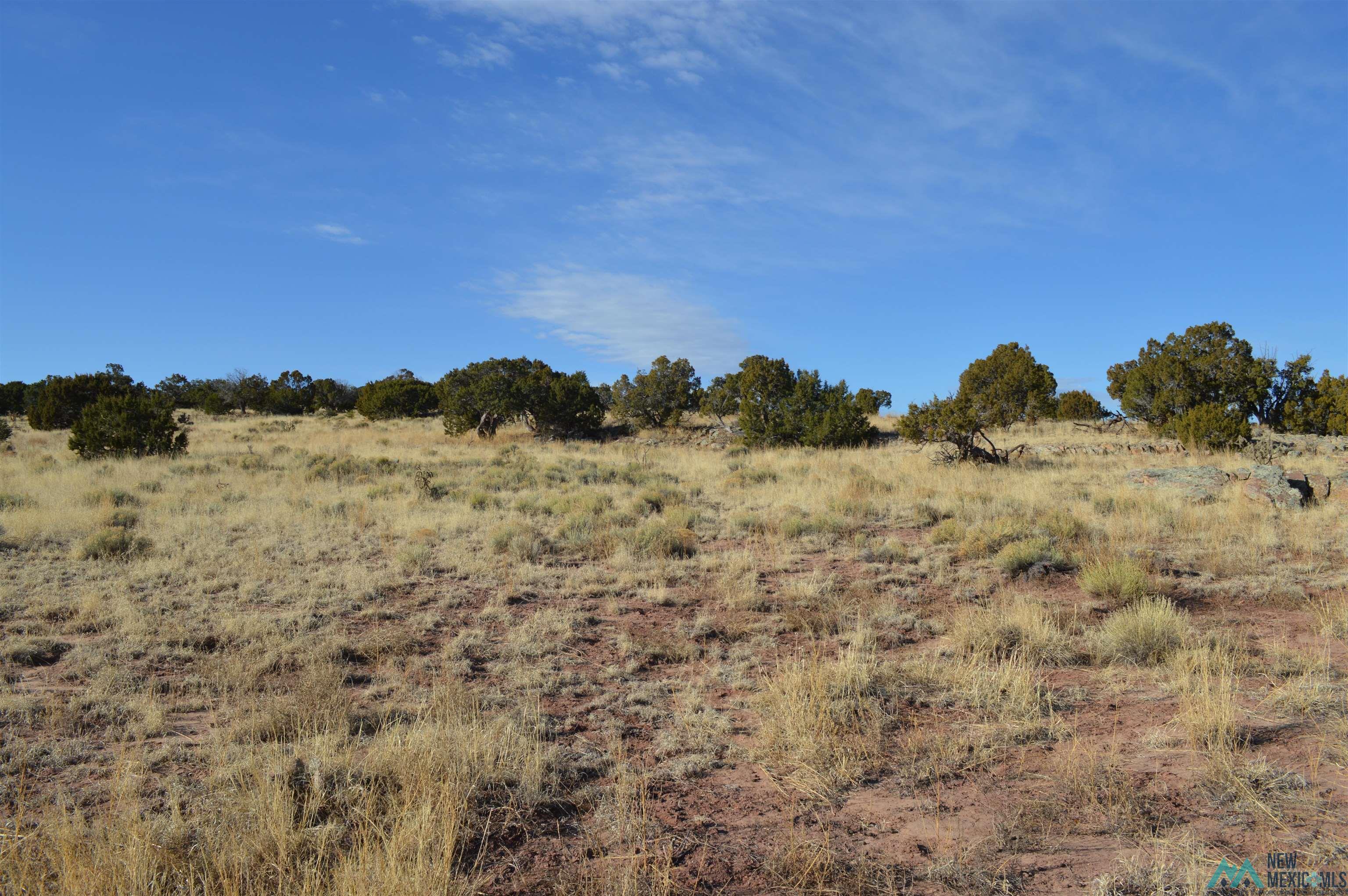 TBD Prewitt Road, Prewitt, New Mexico image 7