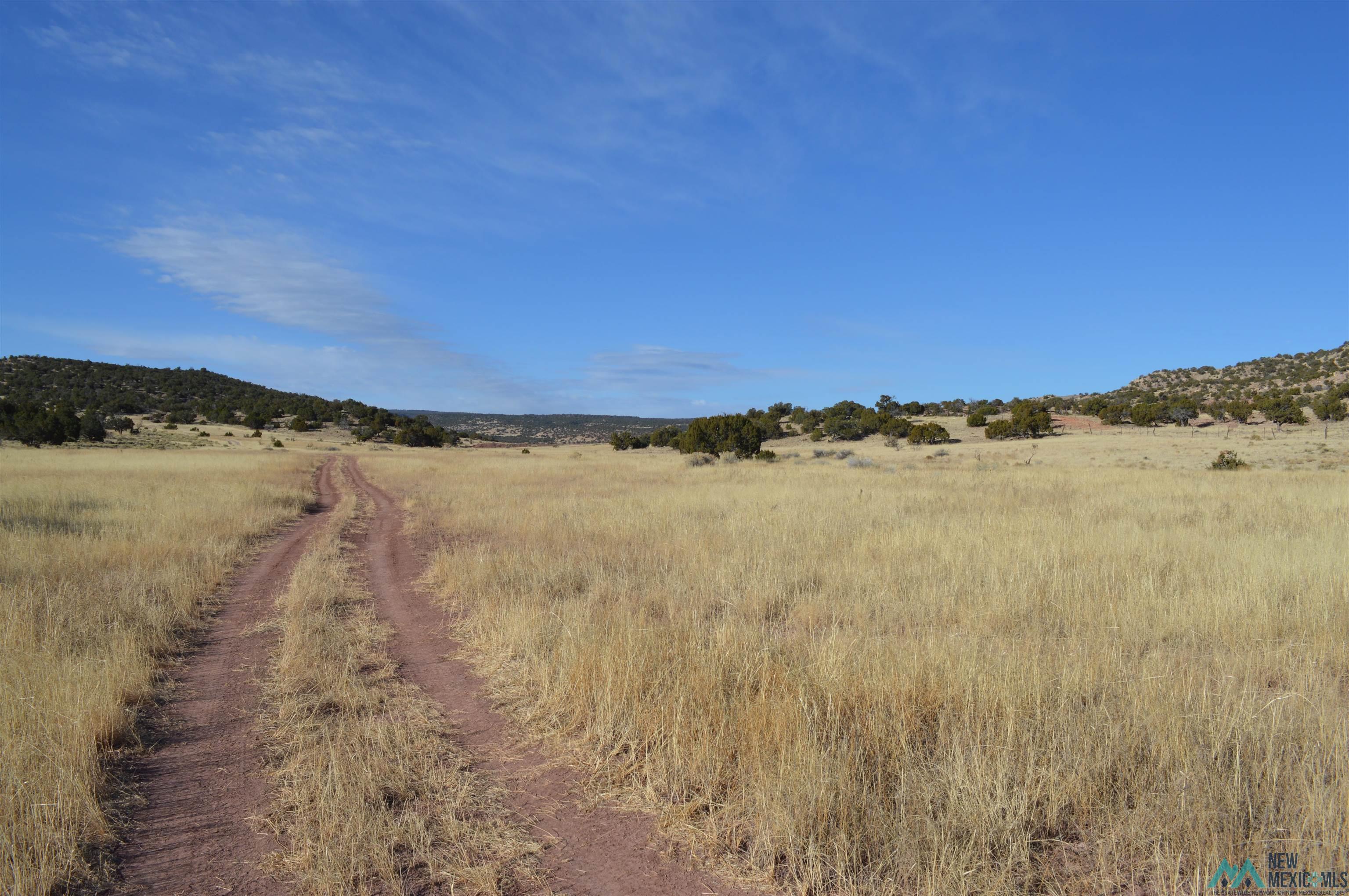 TBD Prewitt Road, Prewitt, New Mexico image 15