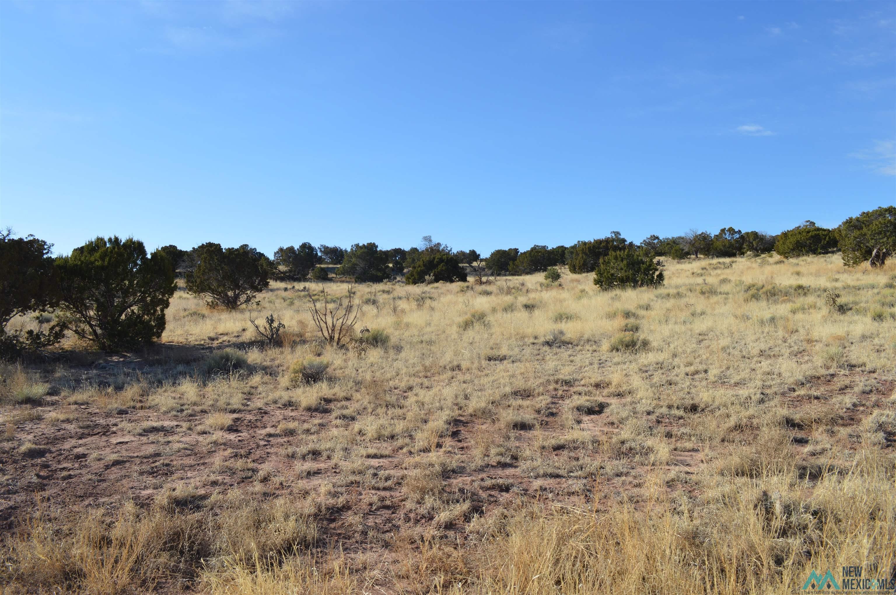 TBD Prewitt Road, Prewitt, New Mexico image 6