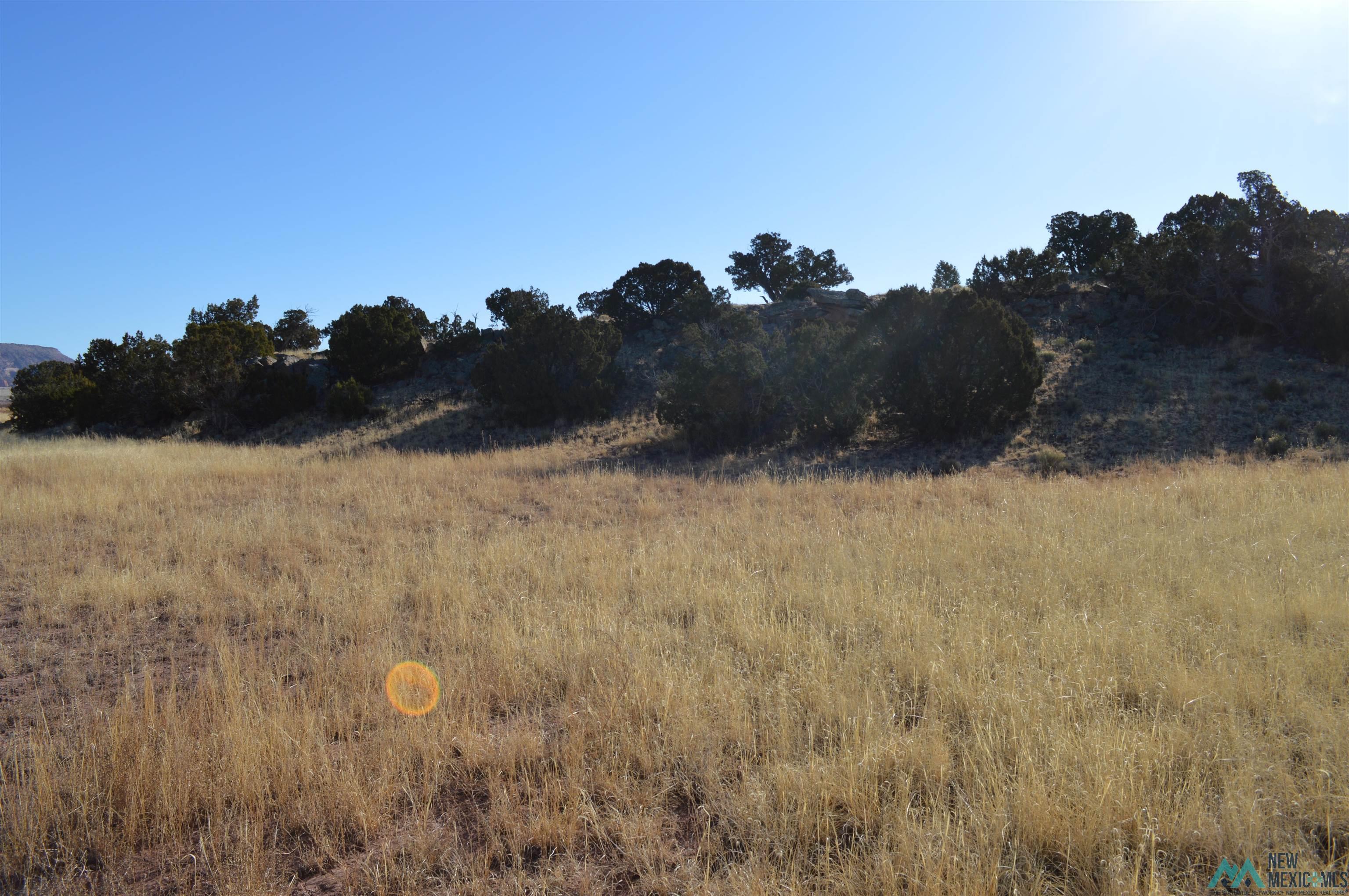 TBD Prewitt Road, Prewitt, New Mexico image 18