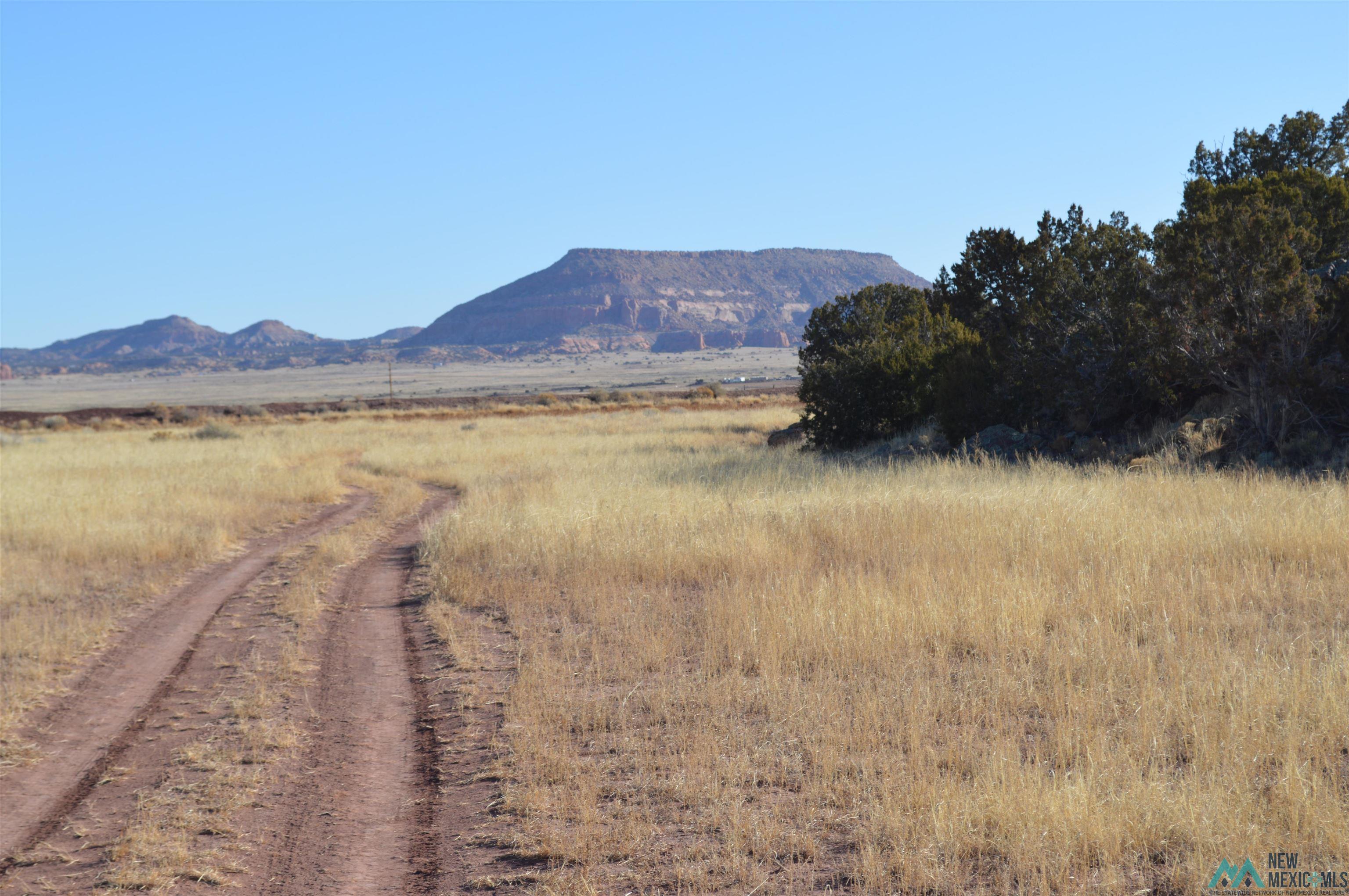 TBD Prewitt Road, Prewitt, New Mexico image 22