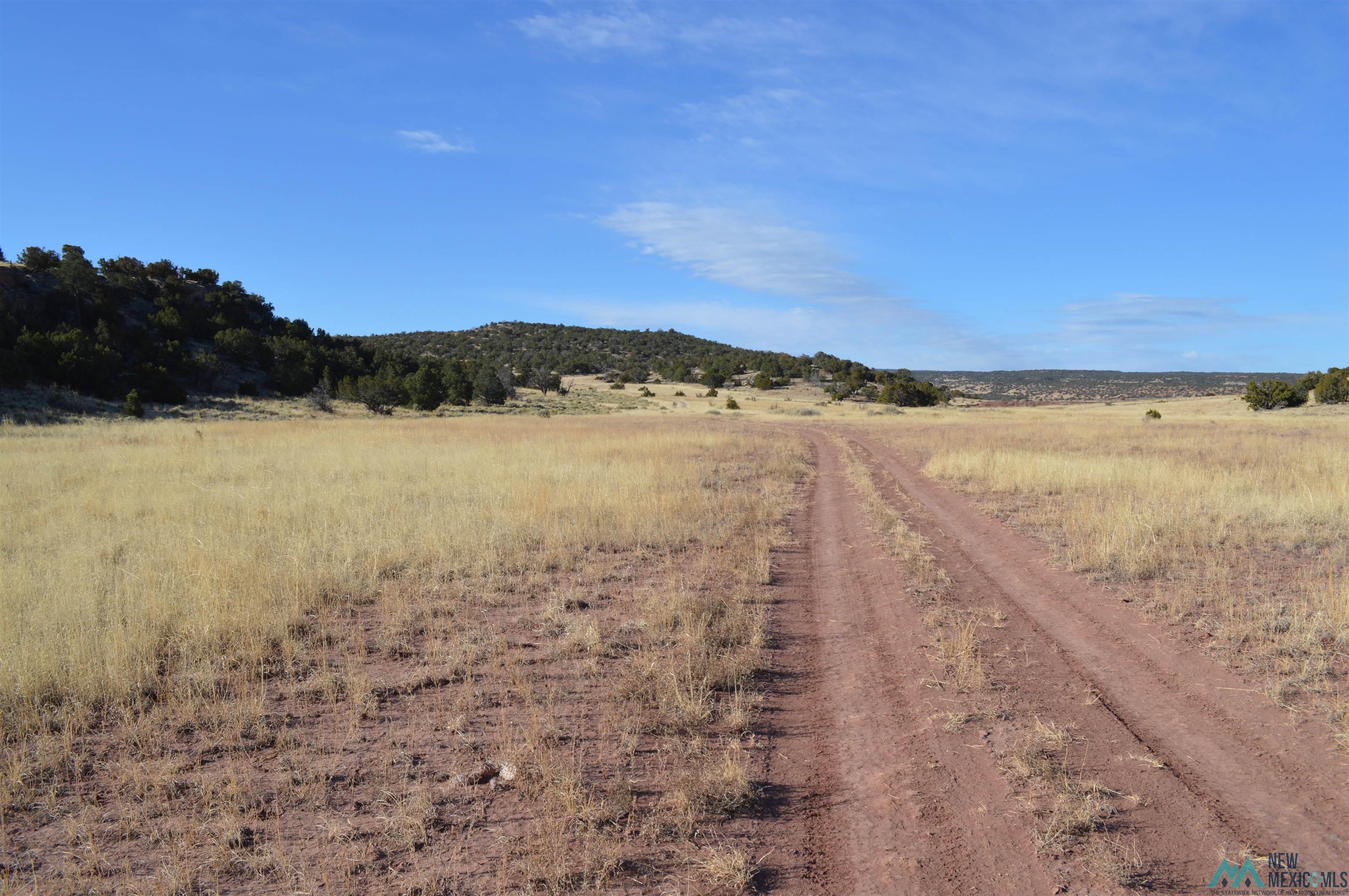 TBD Prewitt Road, Prewitt, New Mexico image 17