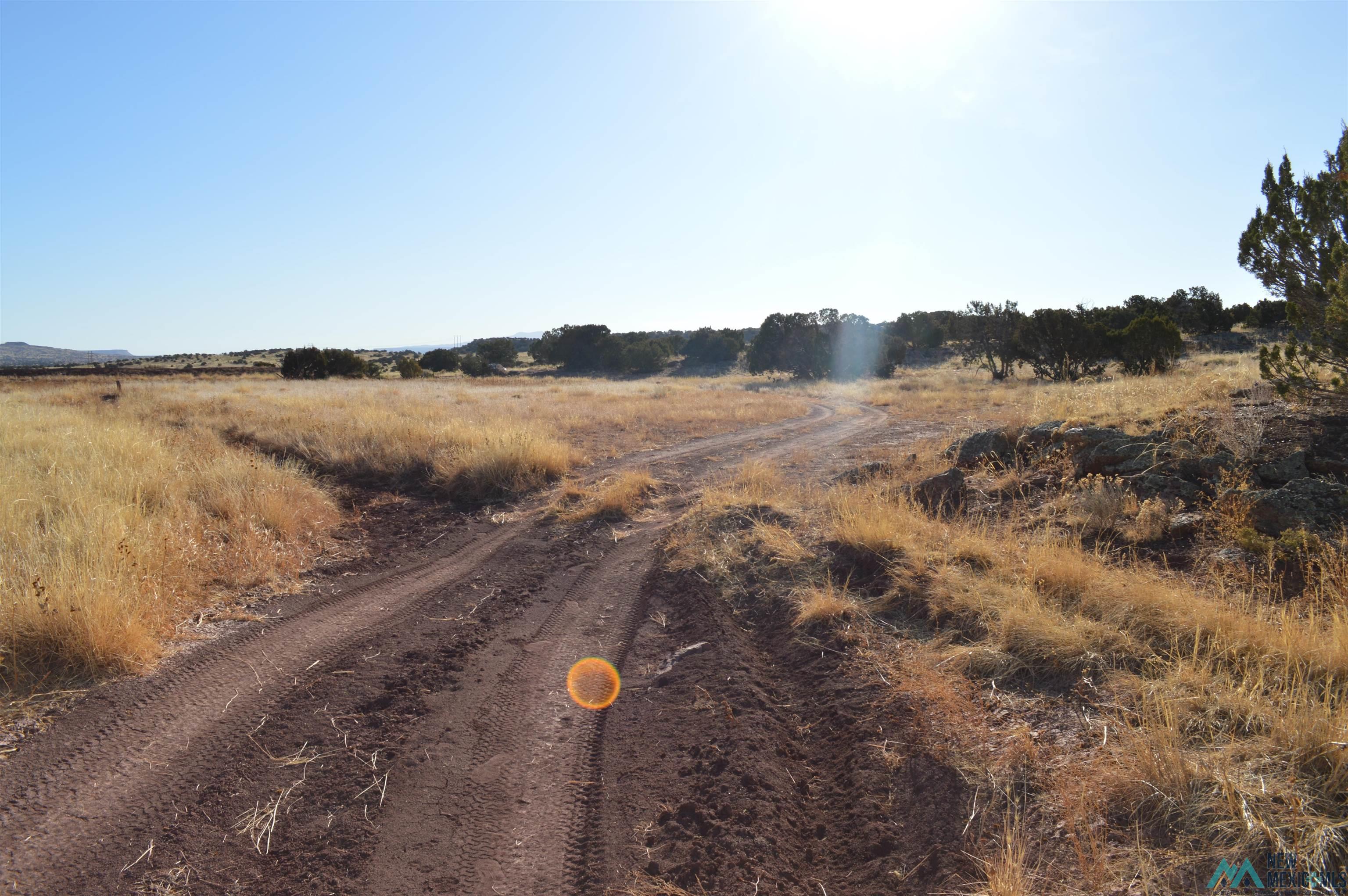 TBD Prewitt Road, Prewitt, New Mexico image 9