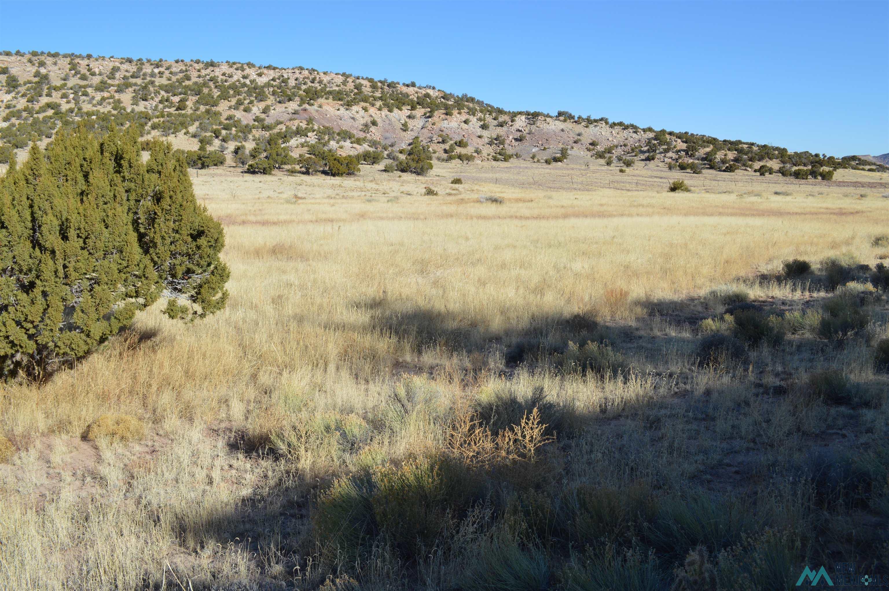 TBD Prewitt Road, Prewitt, New Mexico image 31