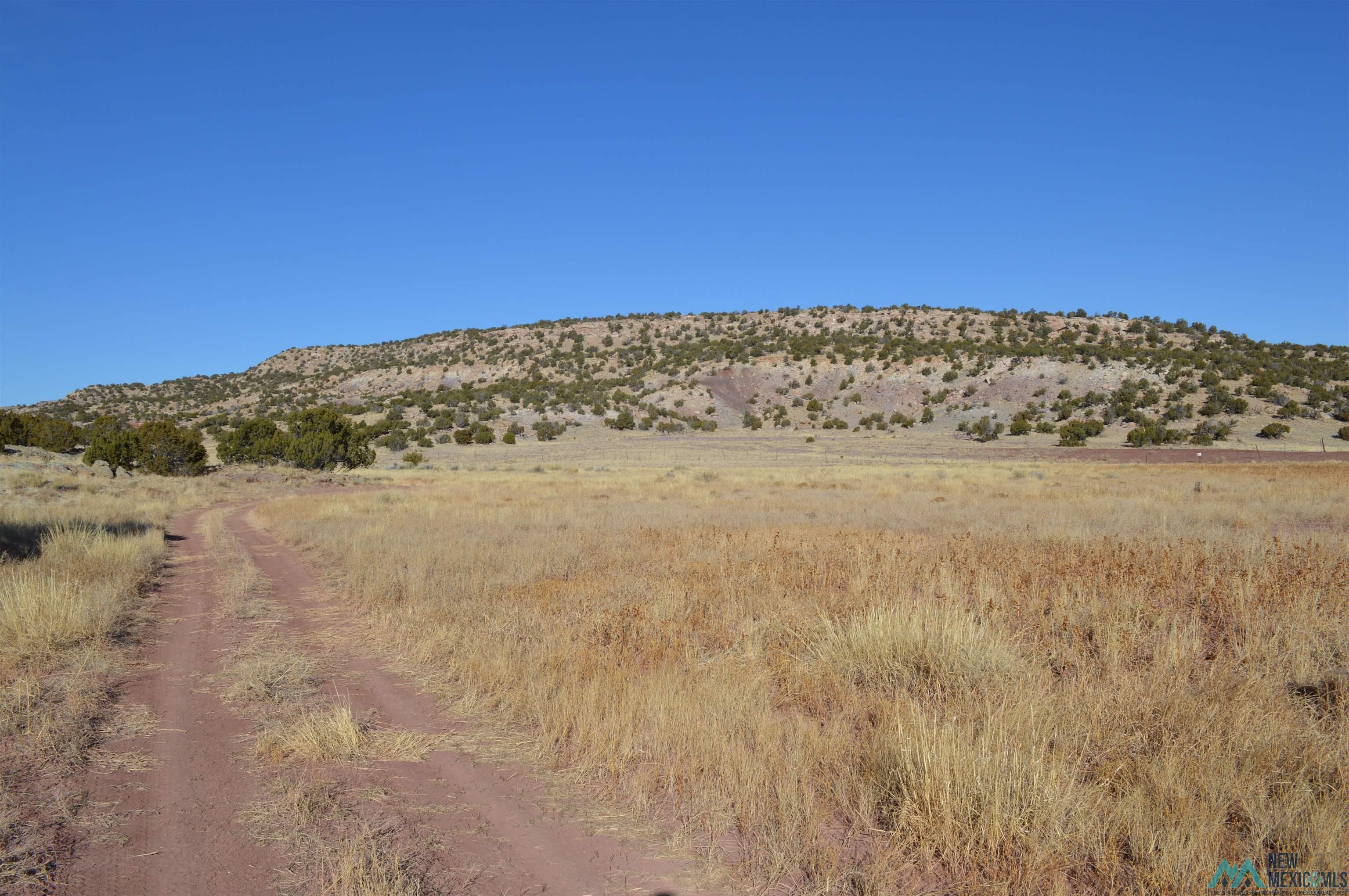 TBD Prewitt Road, Prewitt, New Mexico image 5