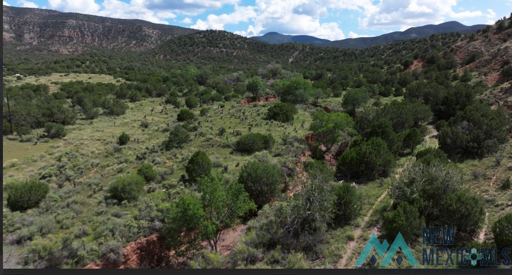 TBD Mauer Drive, Bent, New Mexico image 3