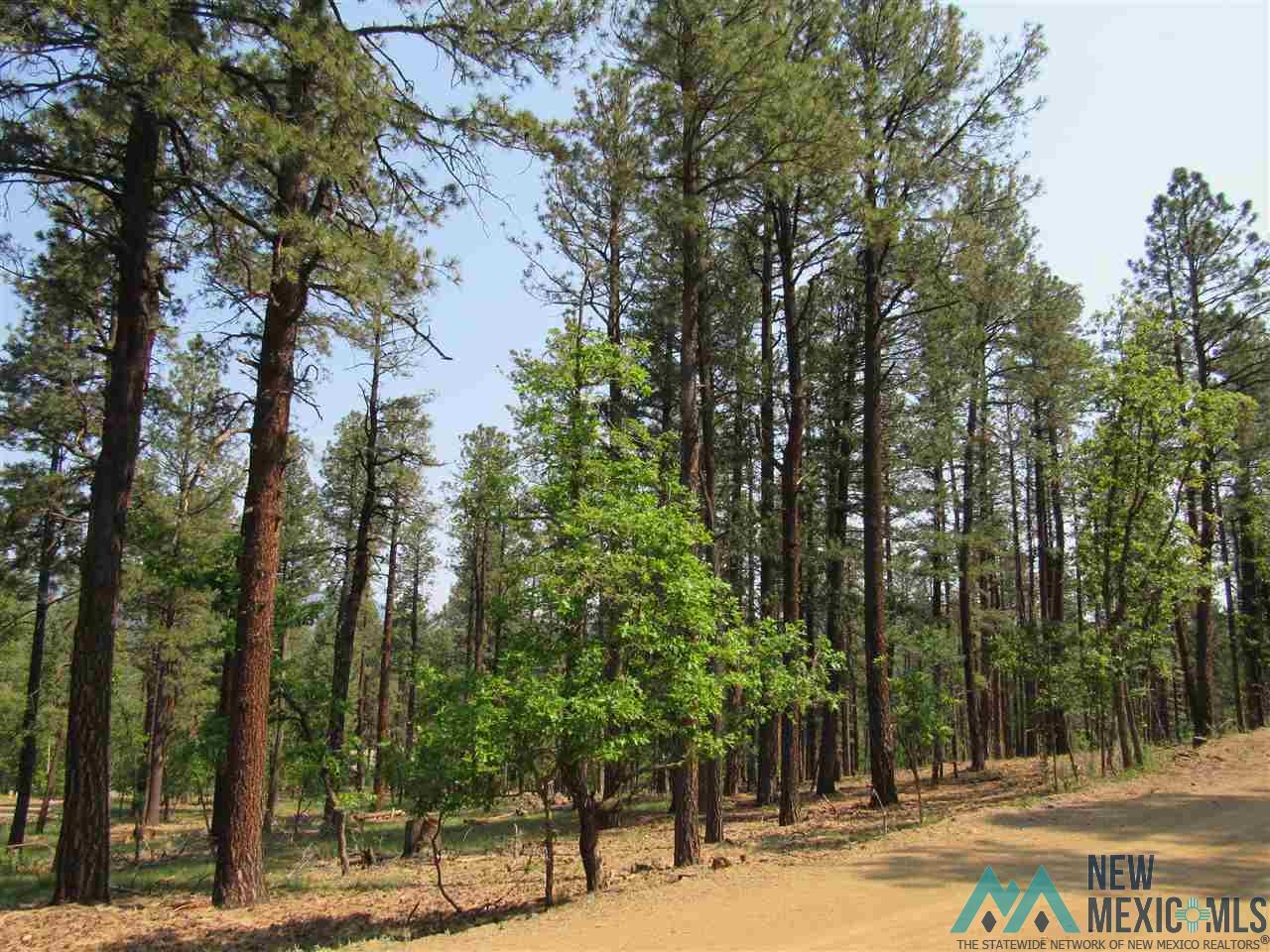 47 48 49 Camino Facil Road, Rociada, New Mexico image 9