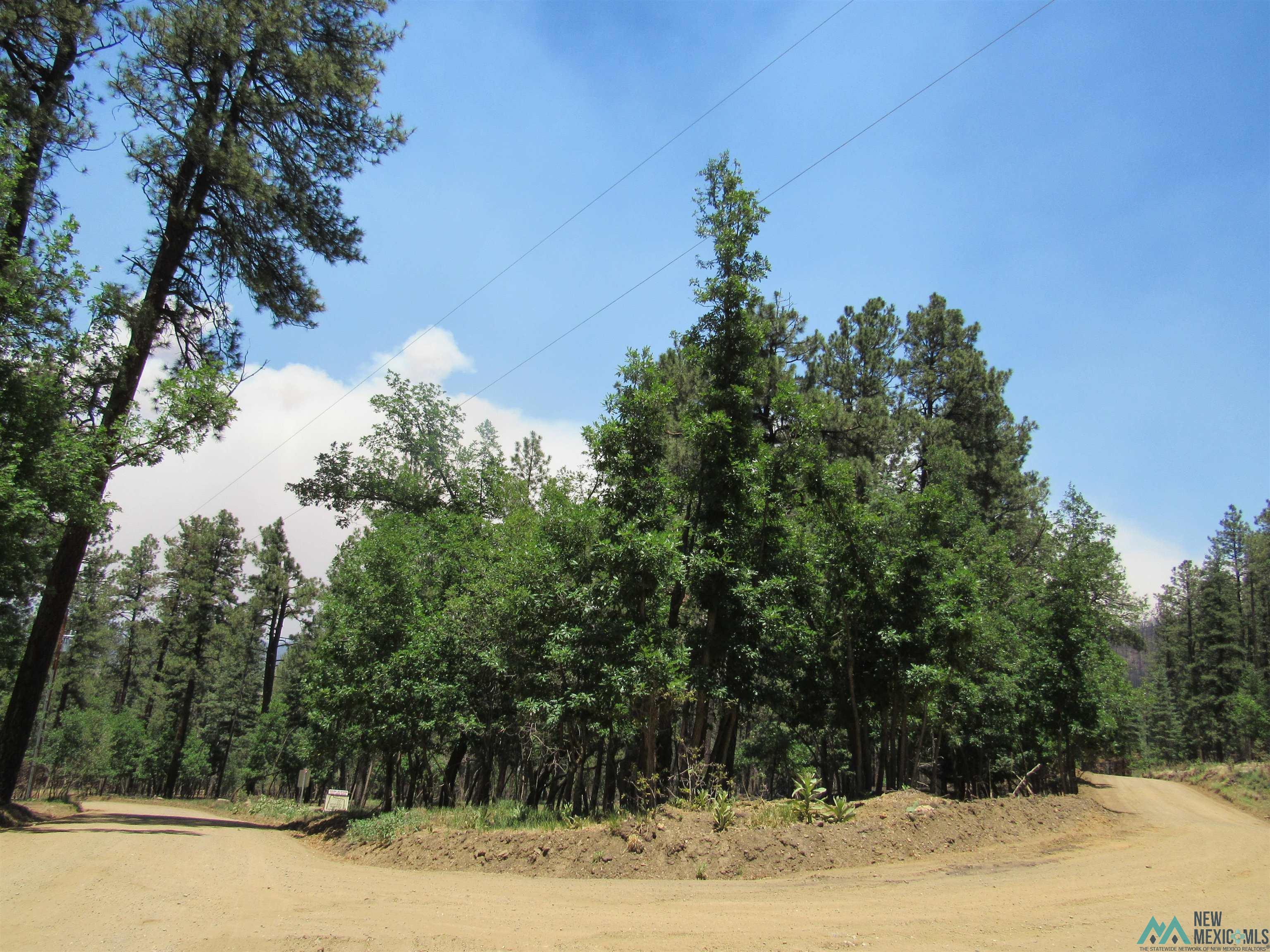 47 48 49 Camino Facil Road, Rociada, New Mexico image 17