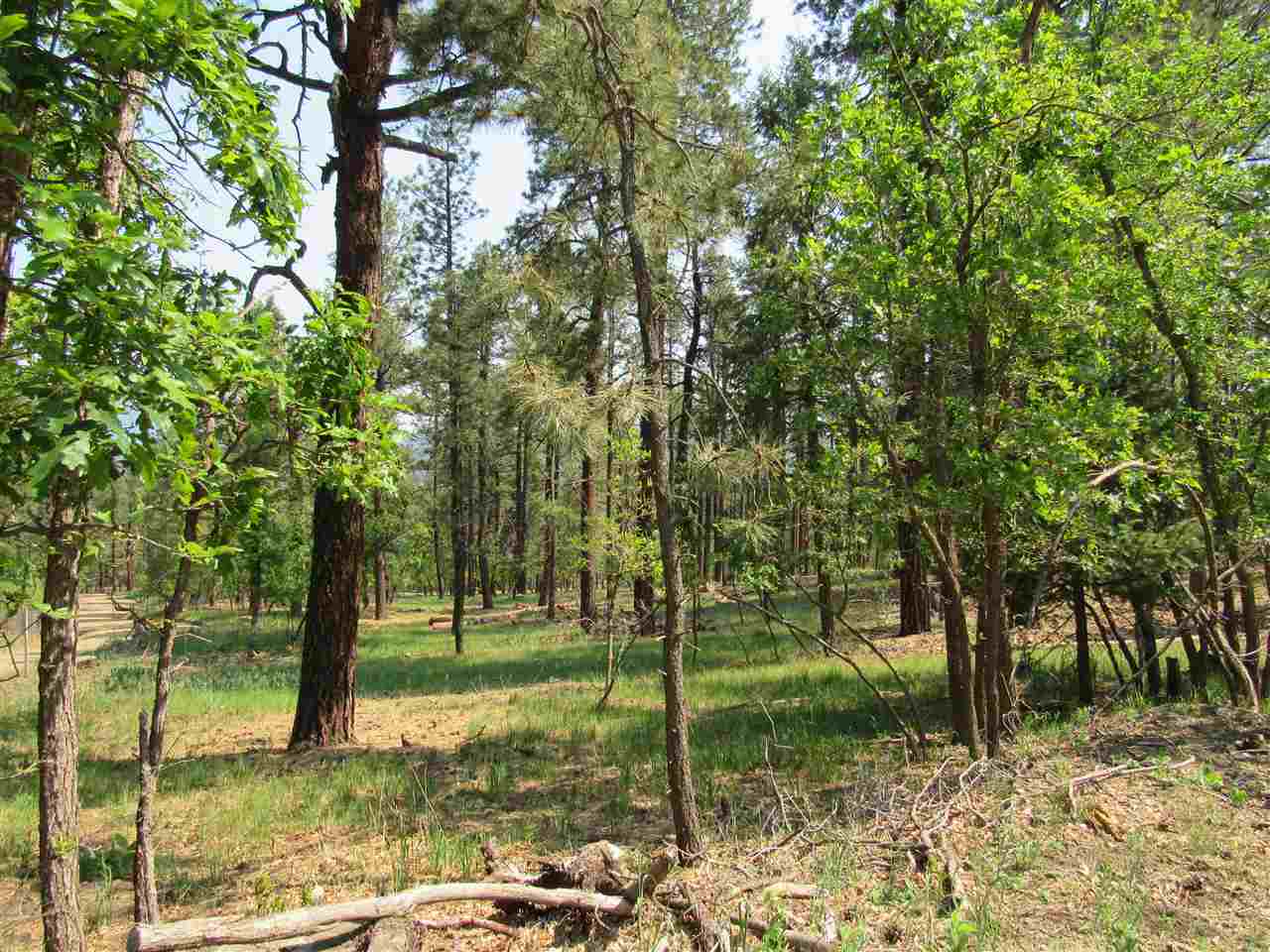 47 48 49 Camino Facil Road, Rociada, New Mexico image 2