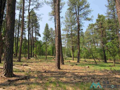 Vacant Land For Sale - 47 48 49 Camino Facil<br/> Rociada, NM 87742