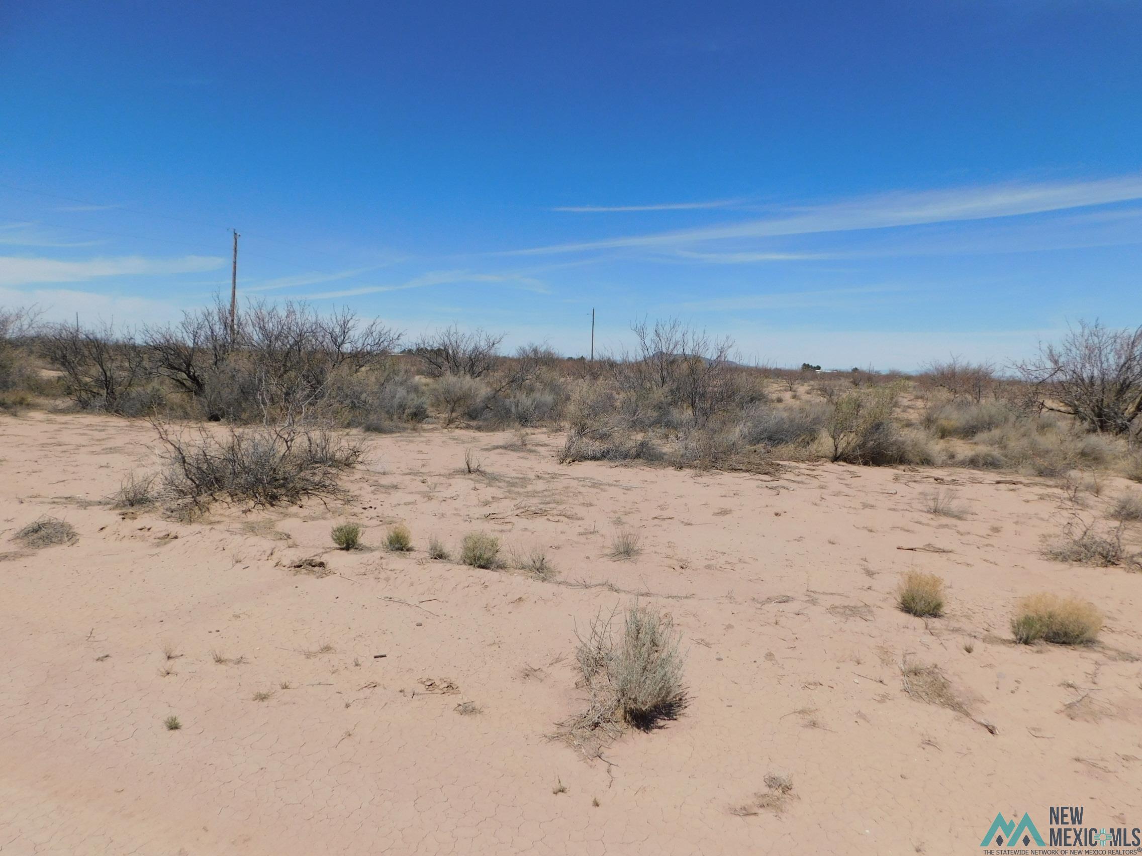 1921 Dillon Wood Drive, Portales, New Mexico image 1