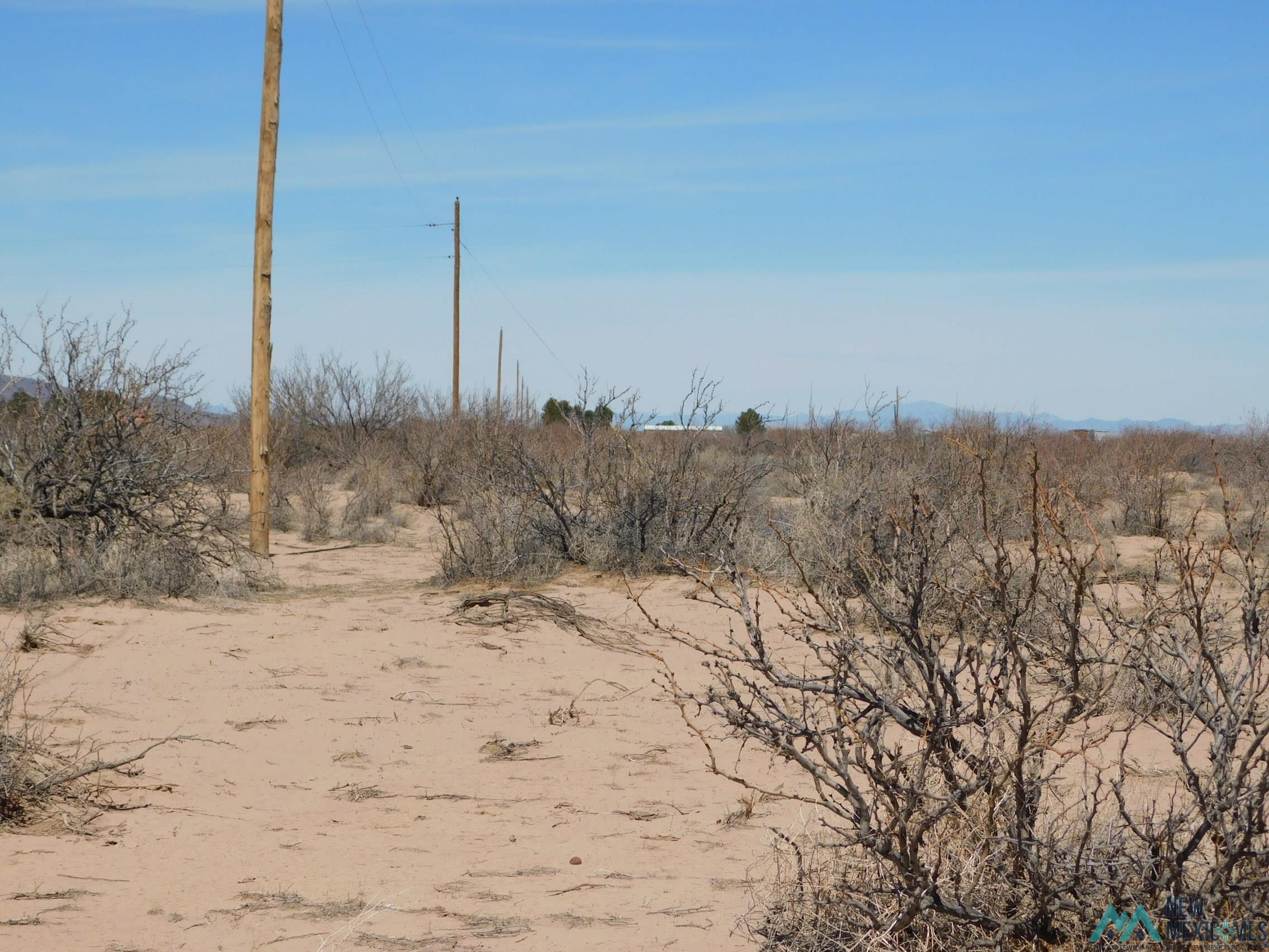 1921 Dillon Wood Drive, Portales, New Mexico image 3