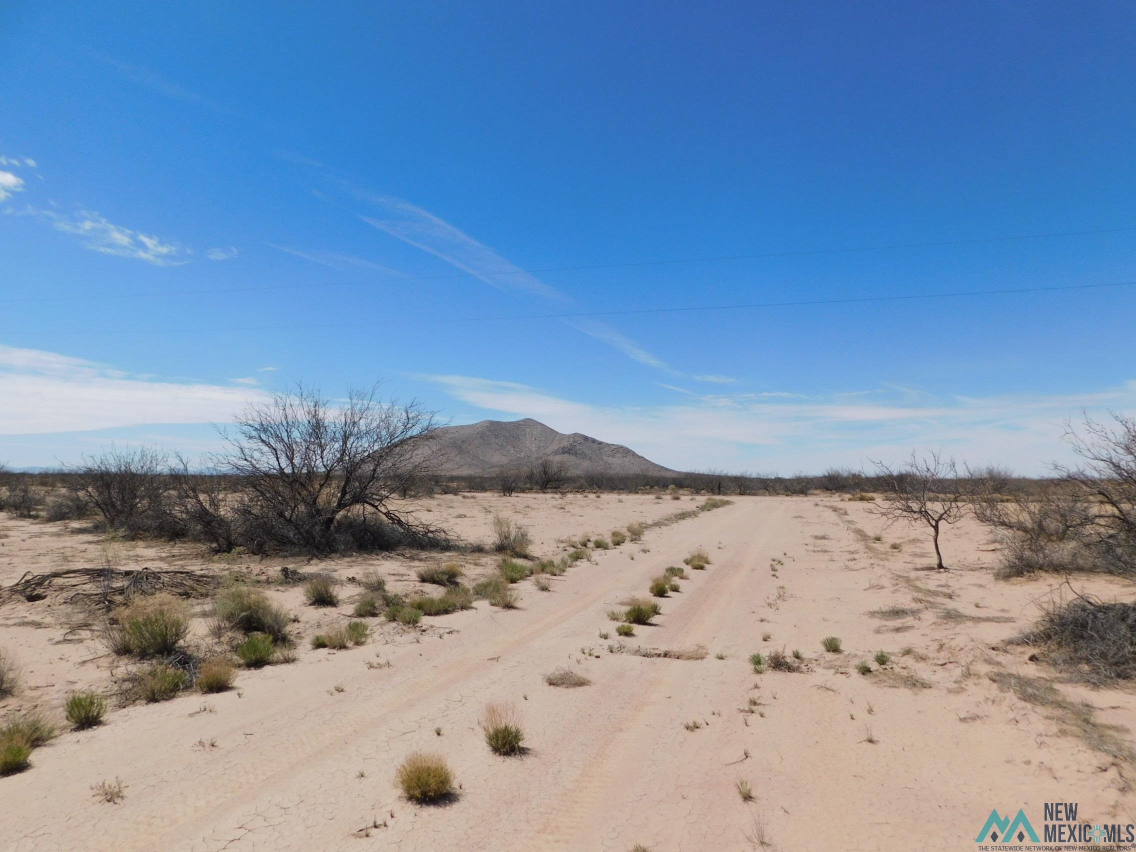 1921 Dillon Wood Drive, Portales, New Mexico image 5