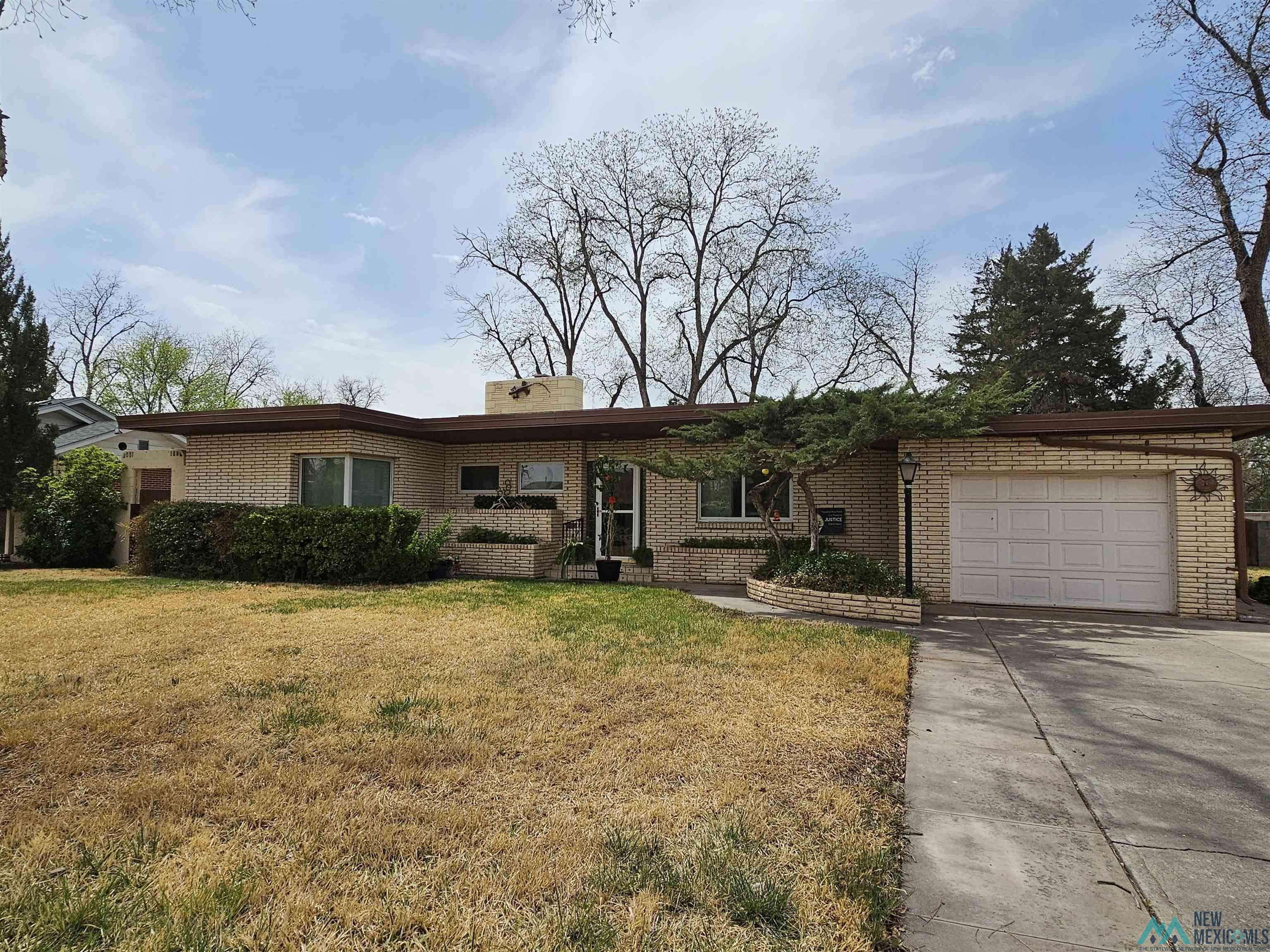 1131 Tracy Place, Carlsbad, Texas image 1