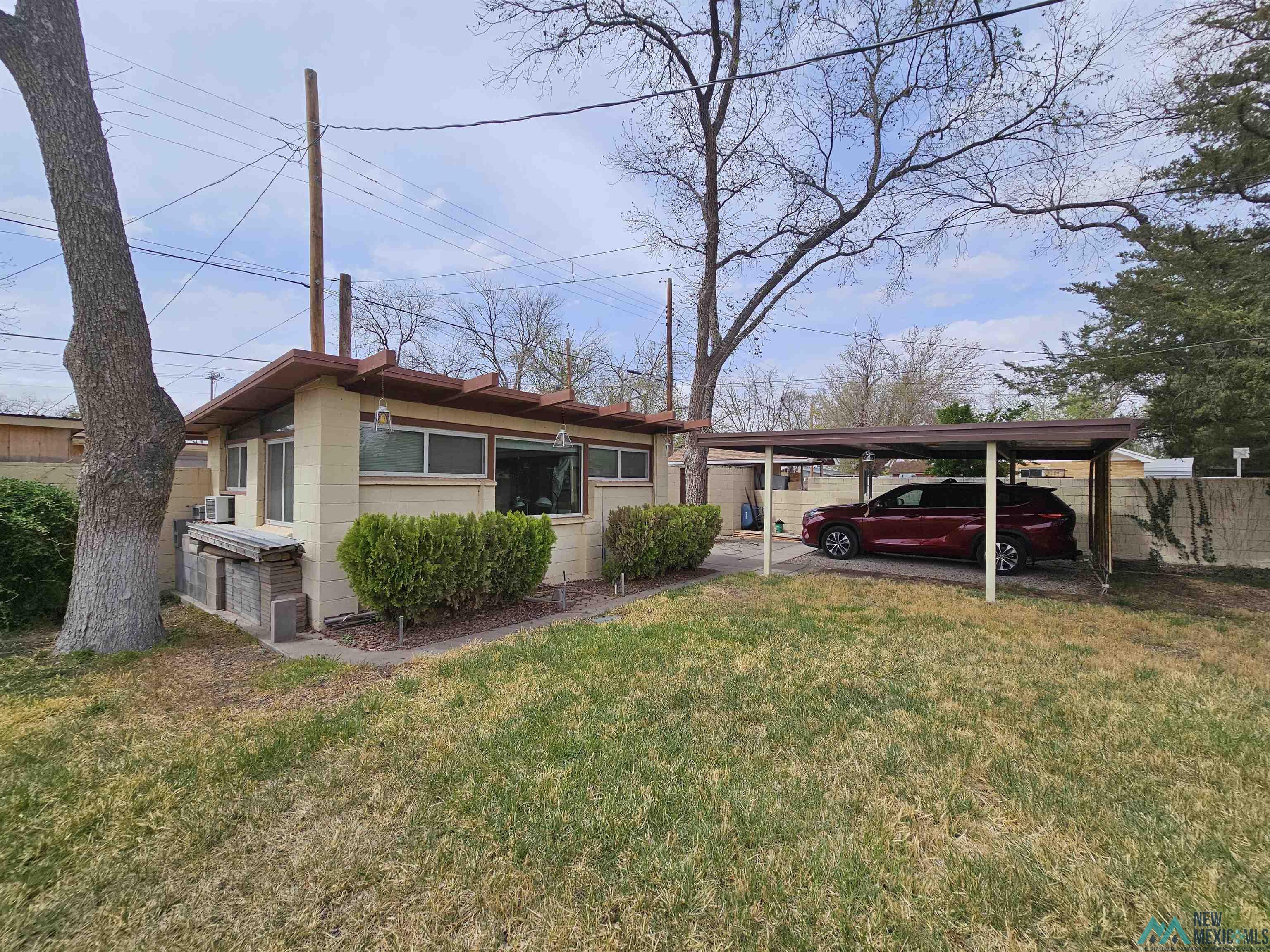 1131 Tracy Place, Carlsbad, Texas image 4