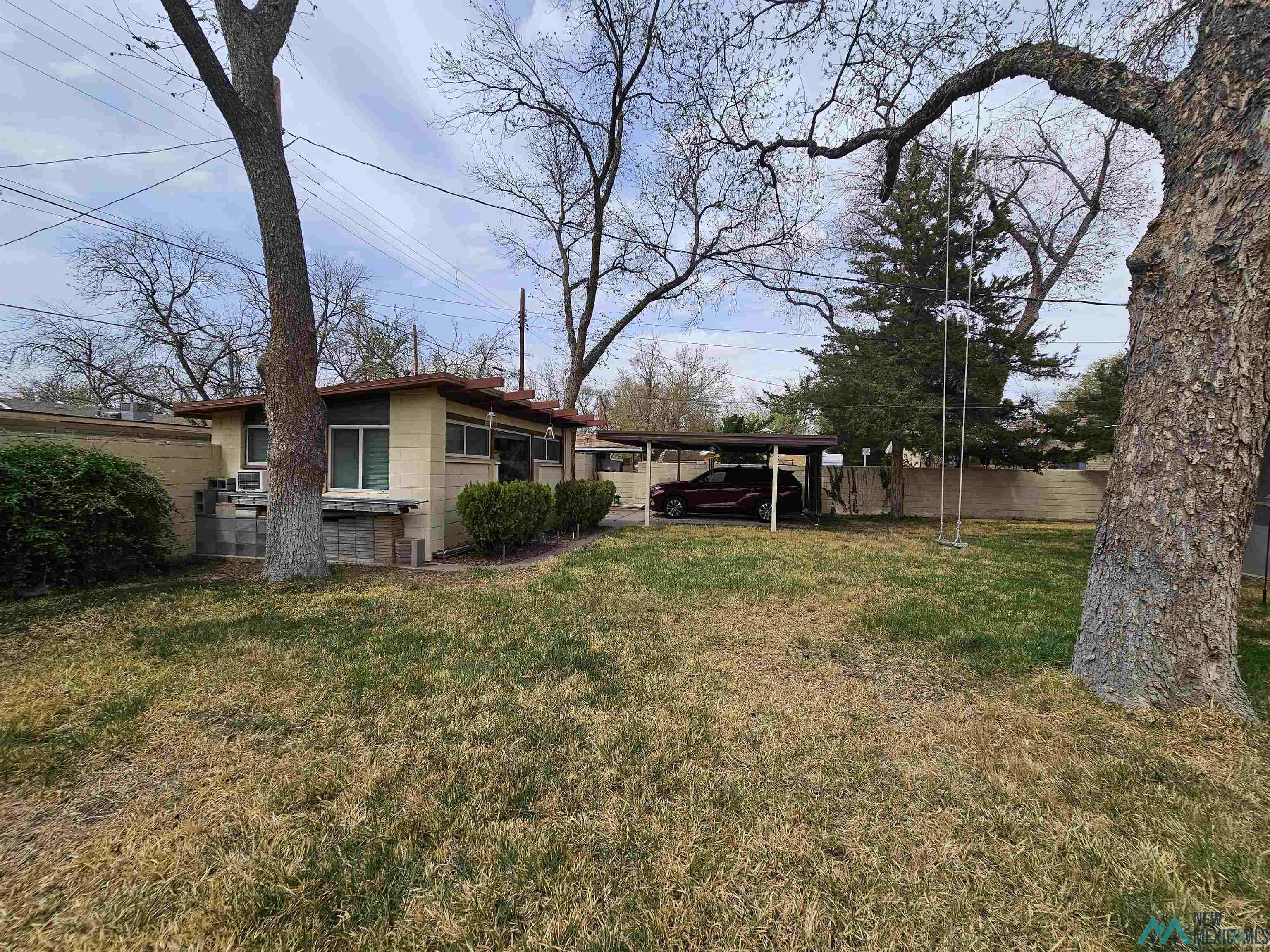 1131 Tracy Place, Carlsbad, Texas image 3