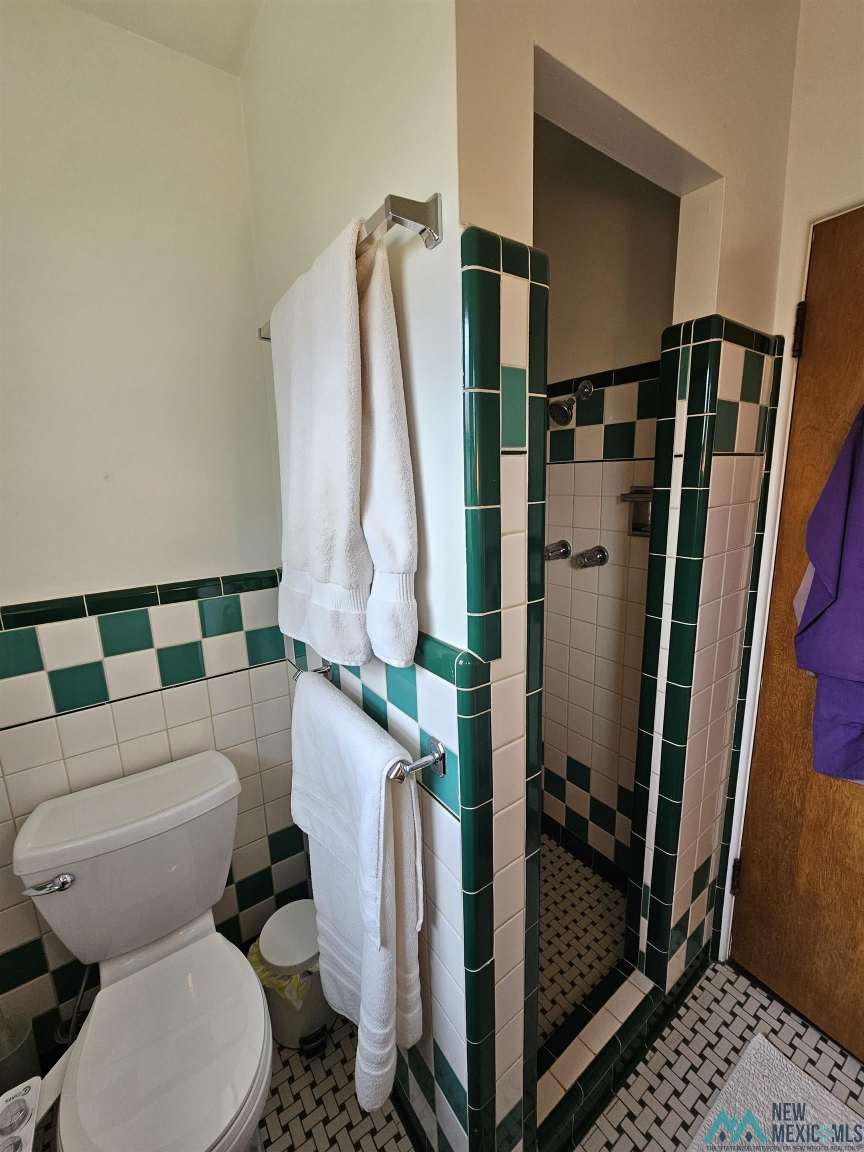 1131 Tracy Place, Carlsbad, Texas image 25