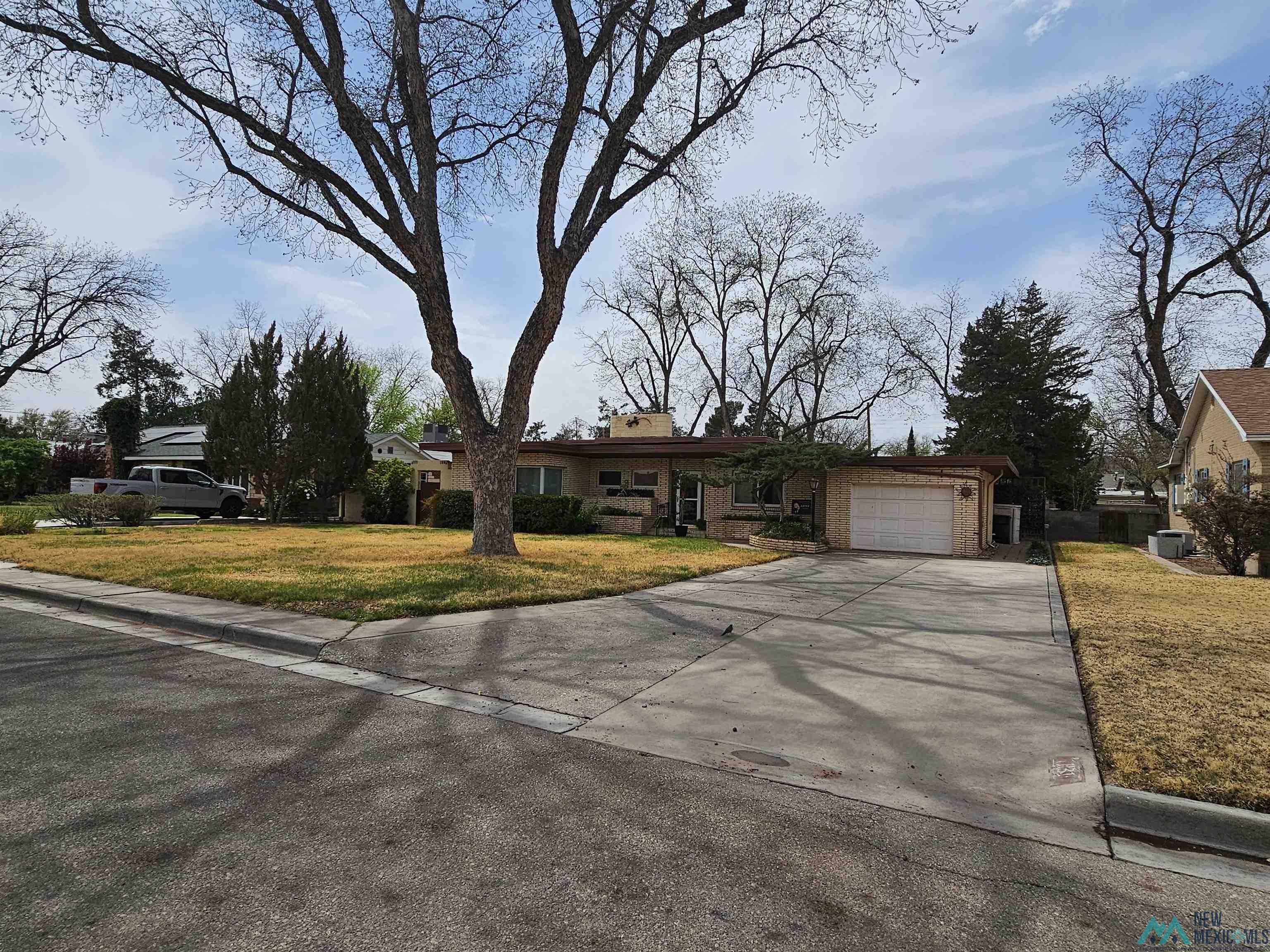1131 Tracy Place, Carlsbad, Texas image 2