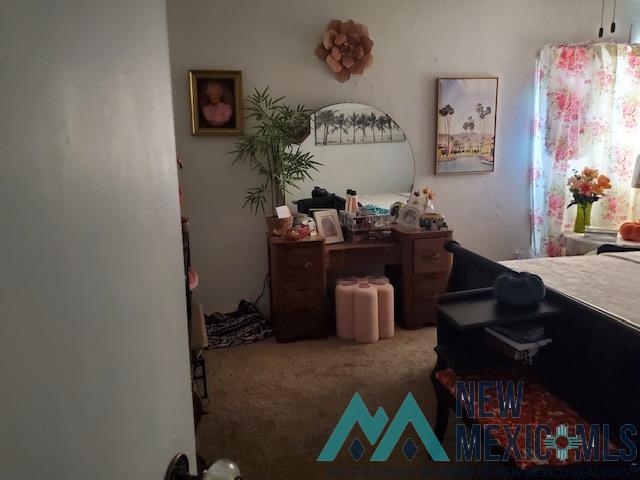 809 E Wood Avenue, Carlsbad, New Mexico image 13