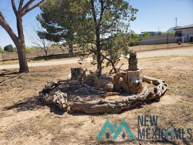 809 E Wood Avenue, Carlsbad, New Mexico image 5