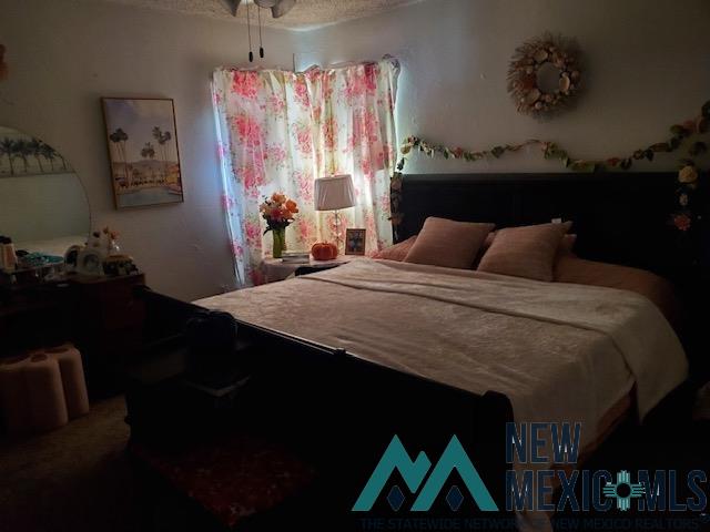 809 E Wood Avenue, Carlsbad, New Mexico image 14