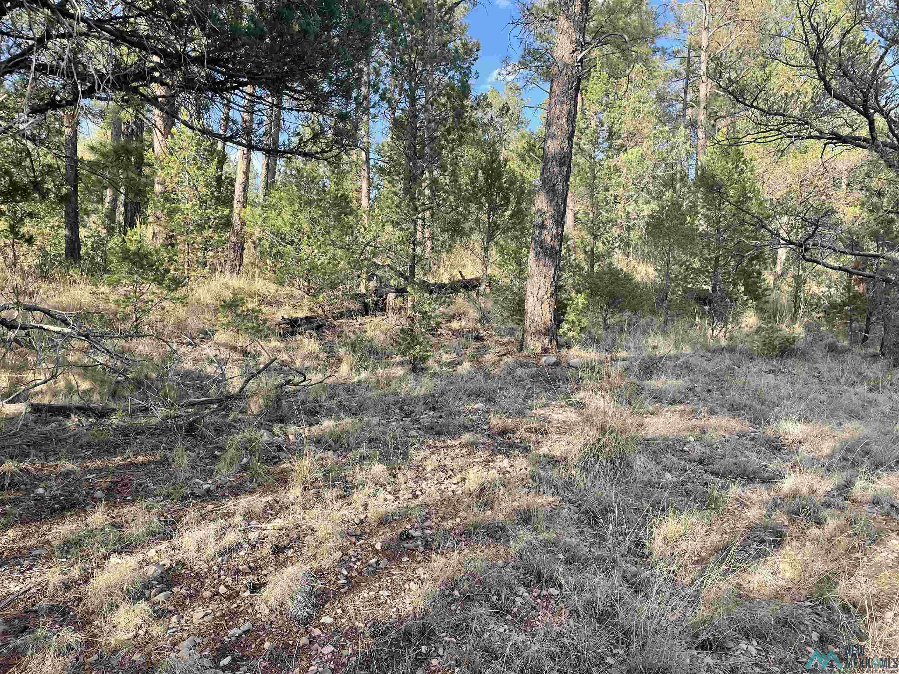 24 Edgewood Drive, Timberon, New Mexico image 2