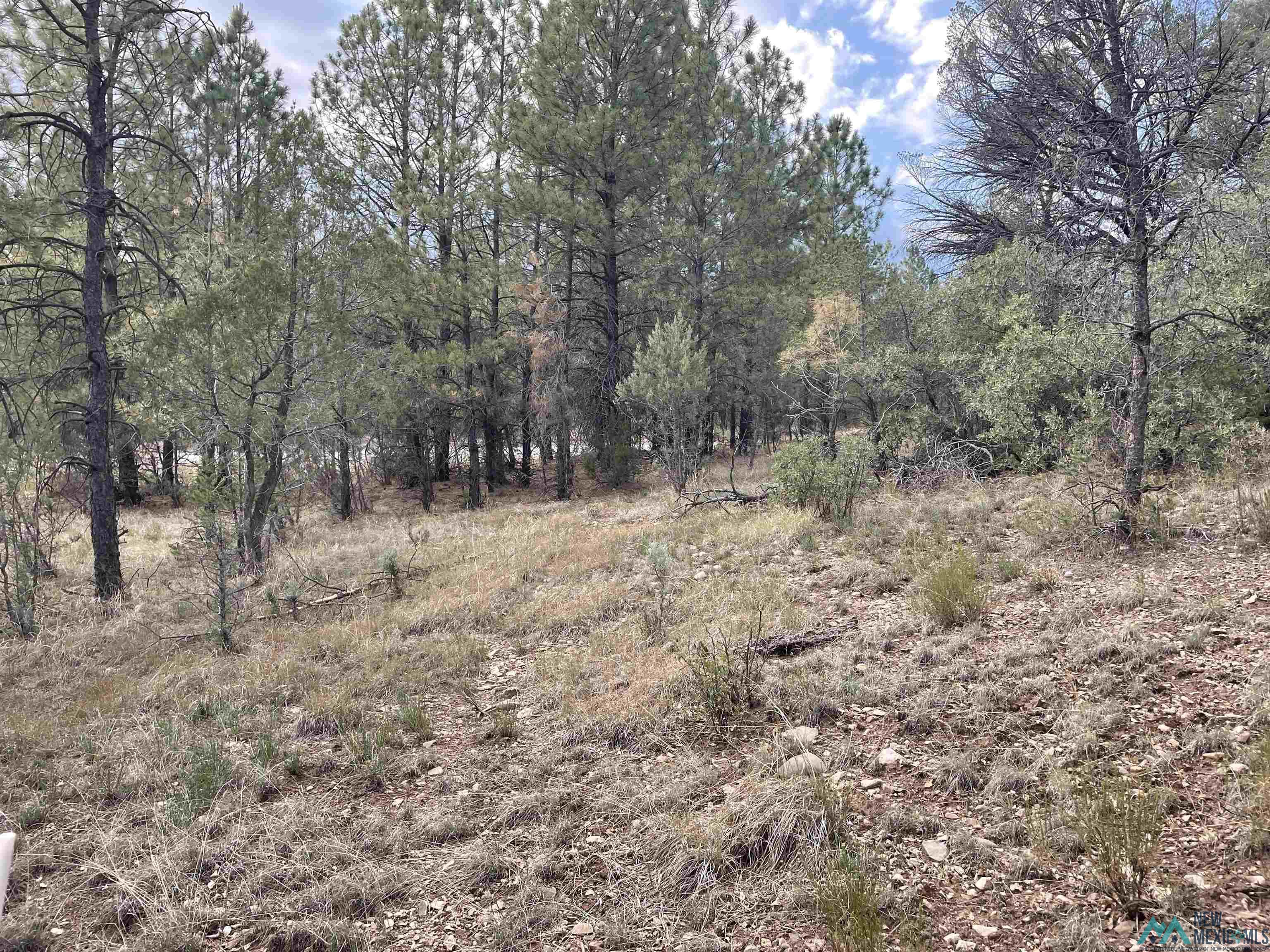 24 Edgewood Drive, Timberon, New Mexico image 3