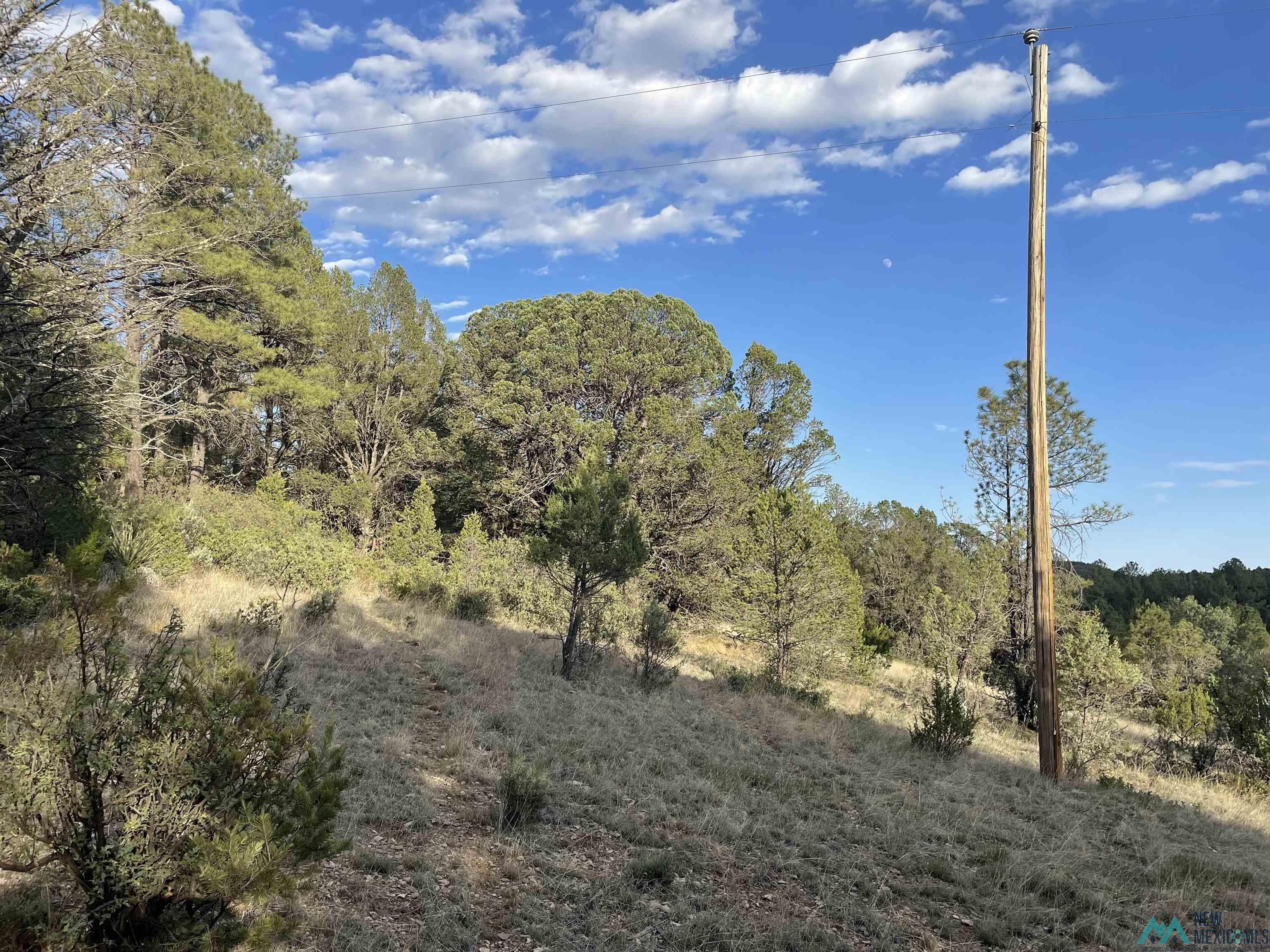 24 Edgewood Drive, Timberon, New Mexico image 1