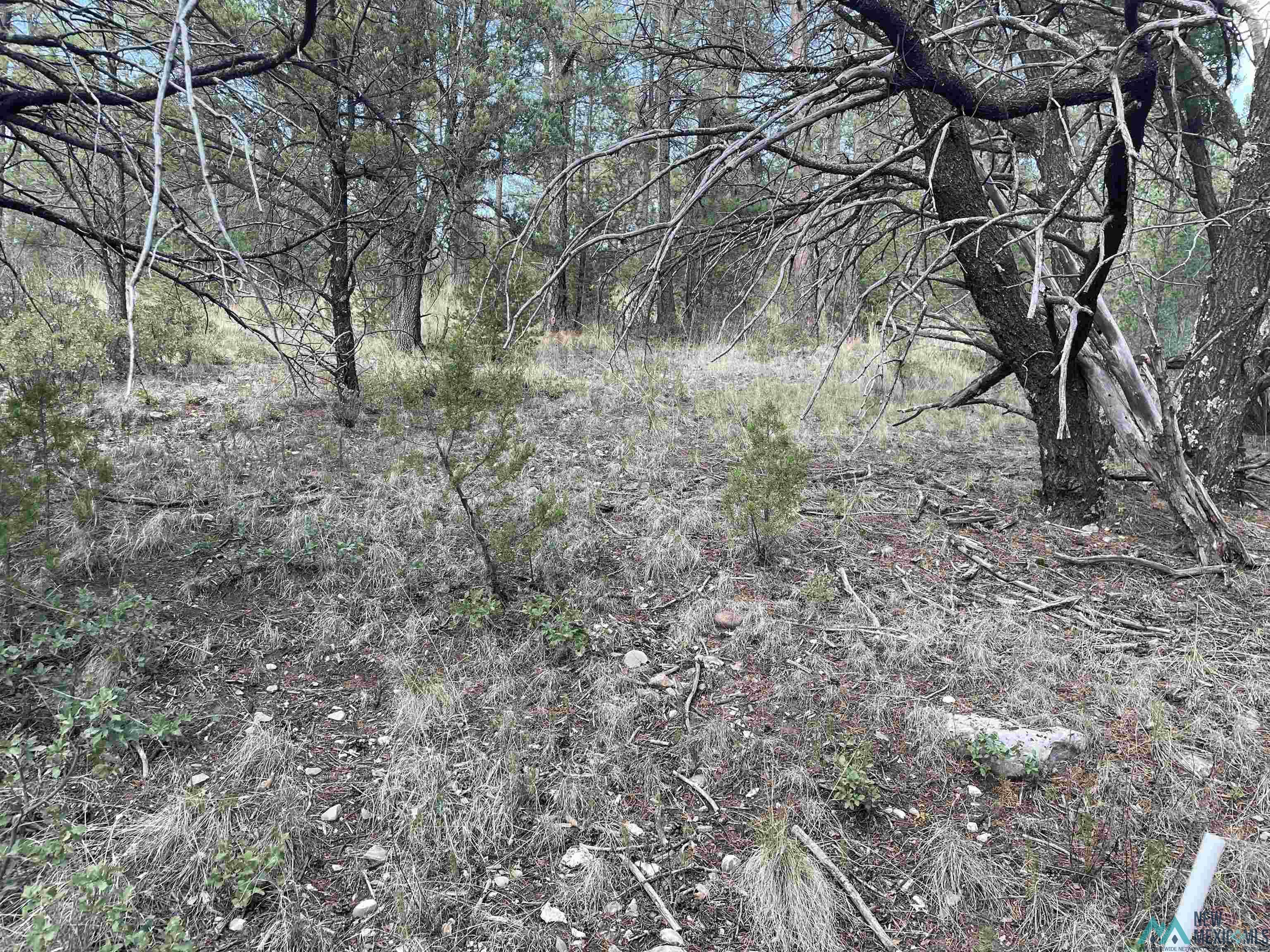 24 Edgewood Drive, Timberon, New Mexico image 4