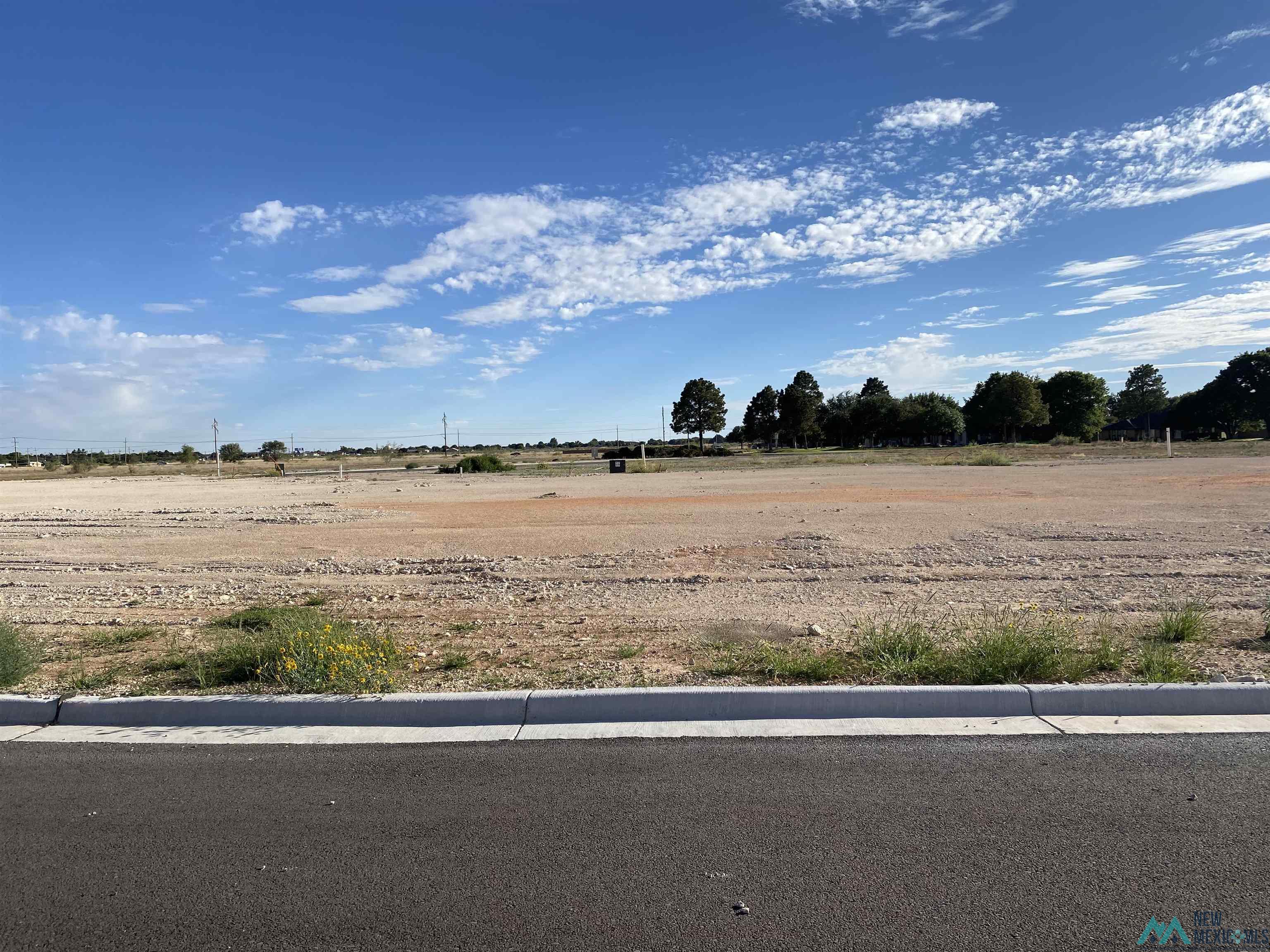 1031 W Cambridge Street, Hobbs, New Mexico image 1