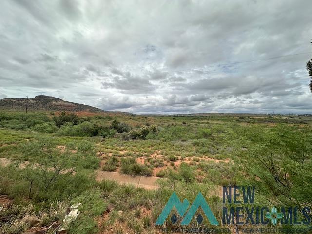 3890 Quay Road 62 Road, Tucumcari, New Mexico image 21