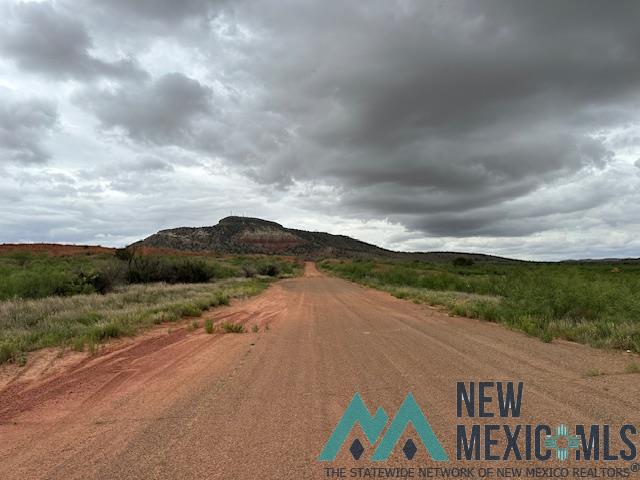 3890 Quay Road 62 Road, Tucumcari, New Mexico image 44