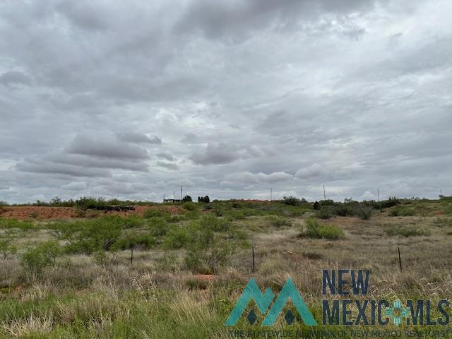 3890 Quay Road 62 Road, Tucumcari, New Mexico image 40