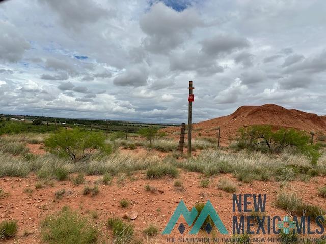 3890 Quay Road 62 Road, Tucumcari, New Mexico image 37