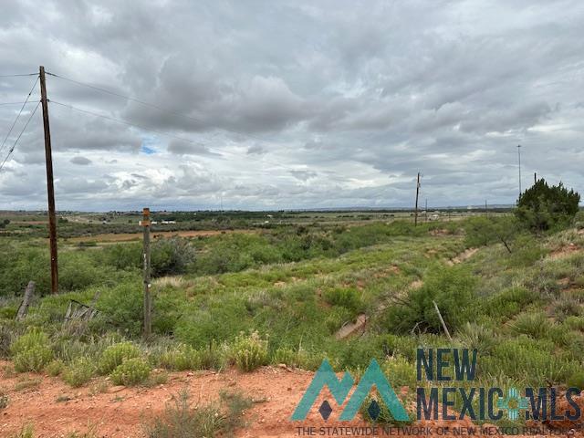 3890 Quay Road 62 Road, Tucumcari, New Mexico image 10