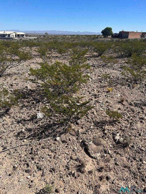 Vacant Land For Sale - 23 Mcrea Circle<br/> Sierra County, Elephant Butte, NM 87935