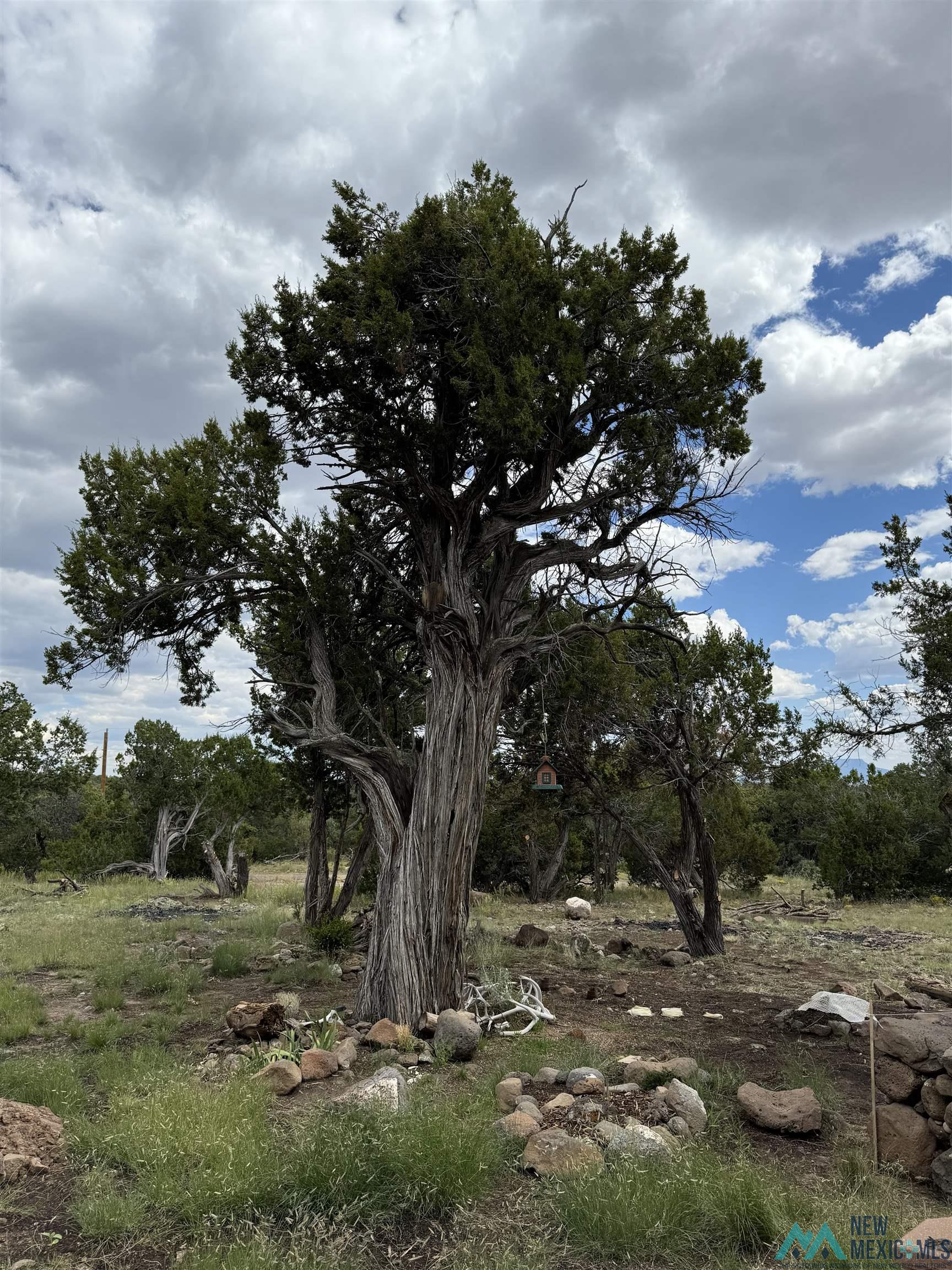 48 Cattle Track Roads, Quemado, Texas image 6