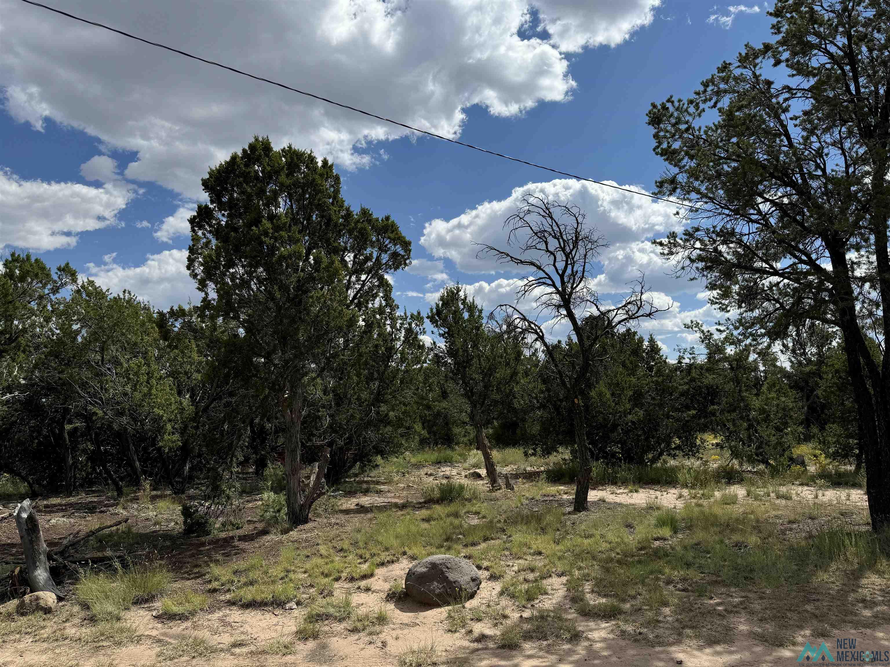 48 Cattle Track Roads, Quemado, Texas image 11