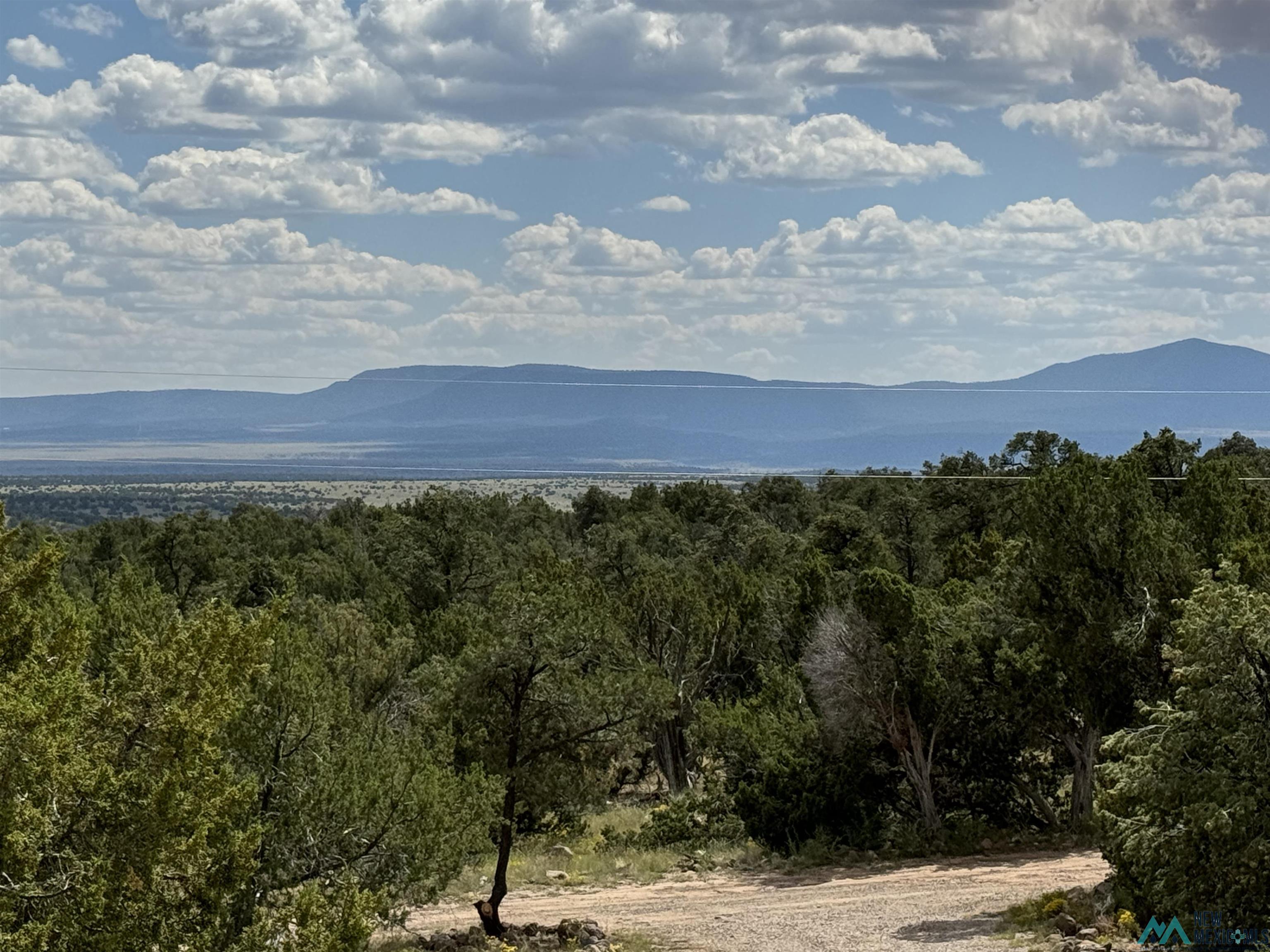 48 Cattle Track Roads, Quemado, Texas image 18