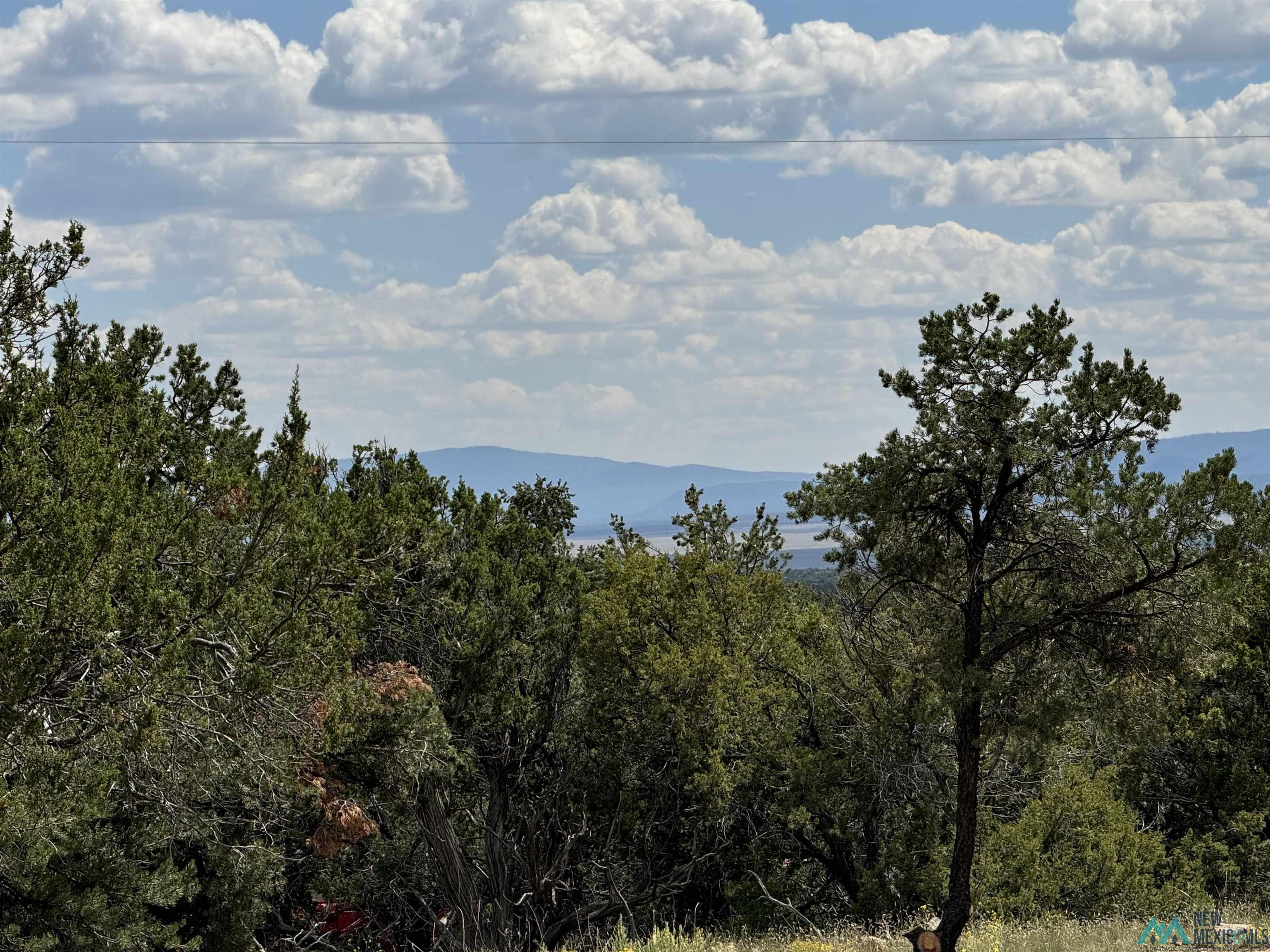 48 Cattle Track Roads, Quemado, Texas image 12