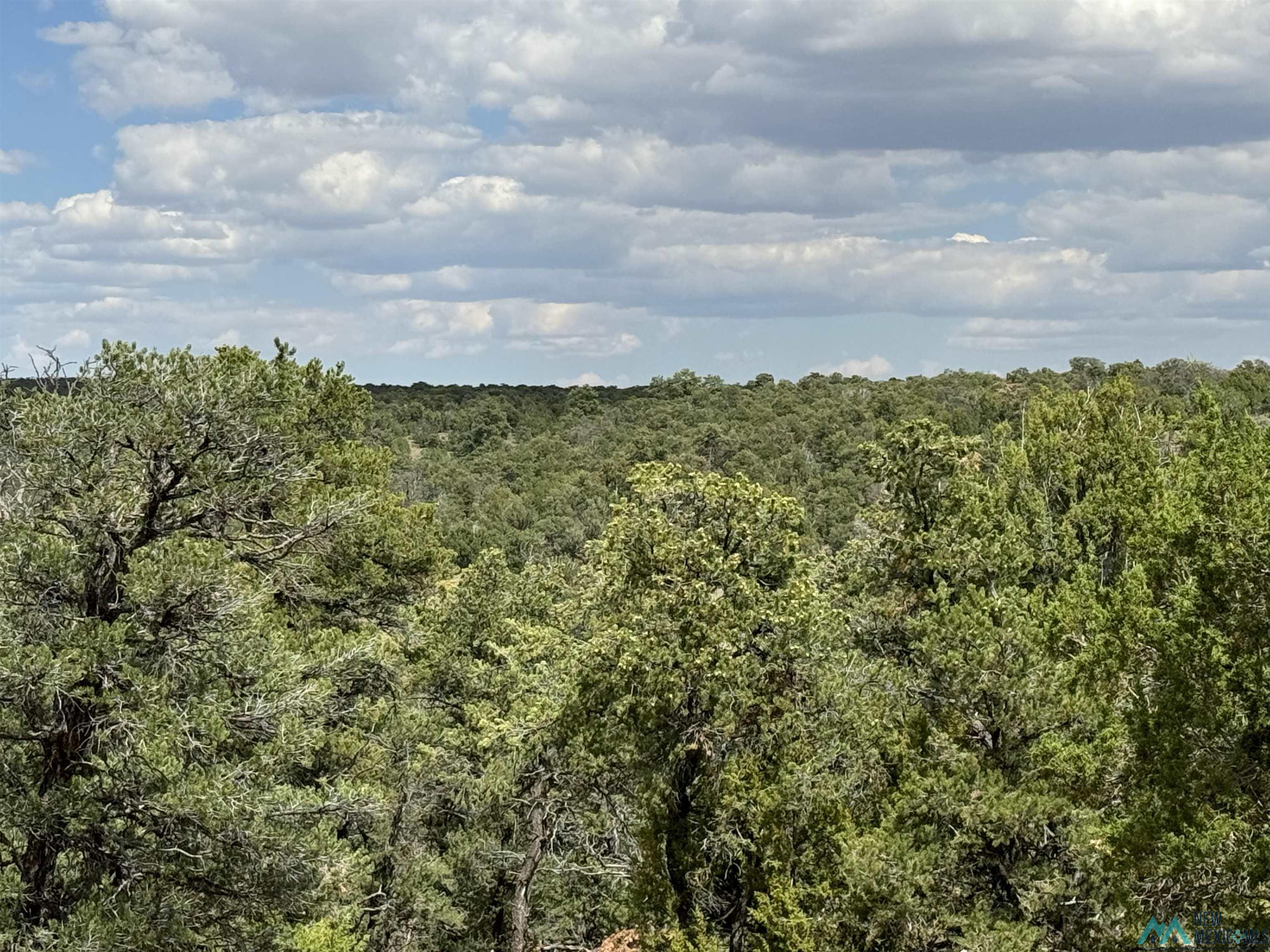 48 Cattle Track Roads, Quemado, Texas image 17