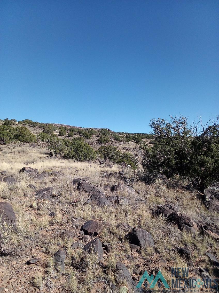 TBD Enchanted Mesa Trail, Grants, Texas image 2