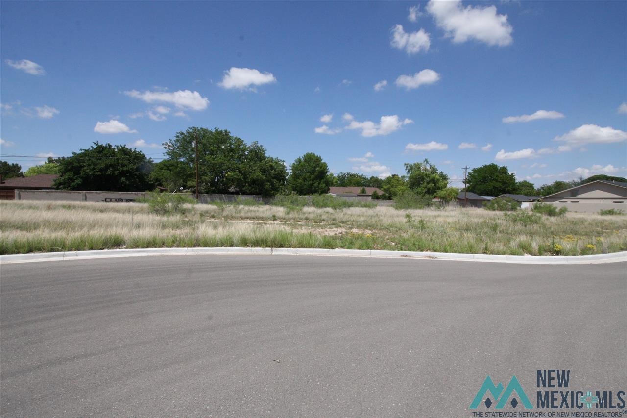 Lot 9A Blk 5A W Ave J Street, Lovington, New Mexico image 1